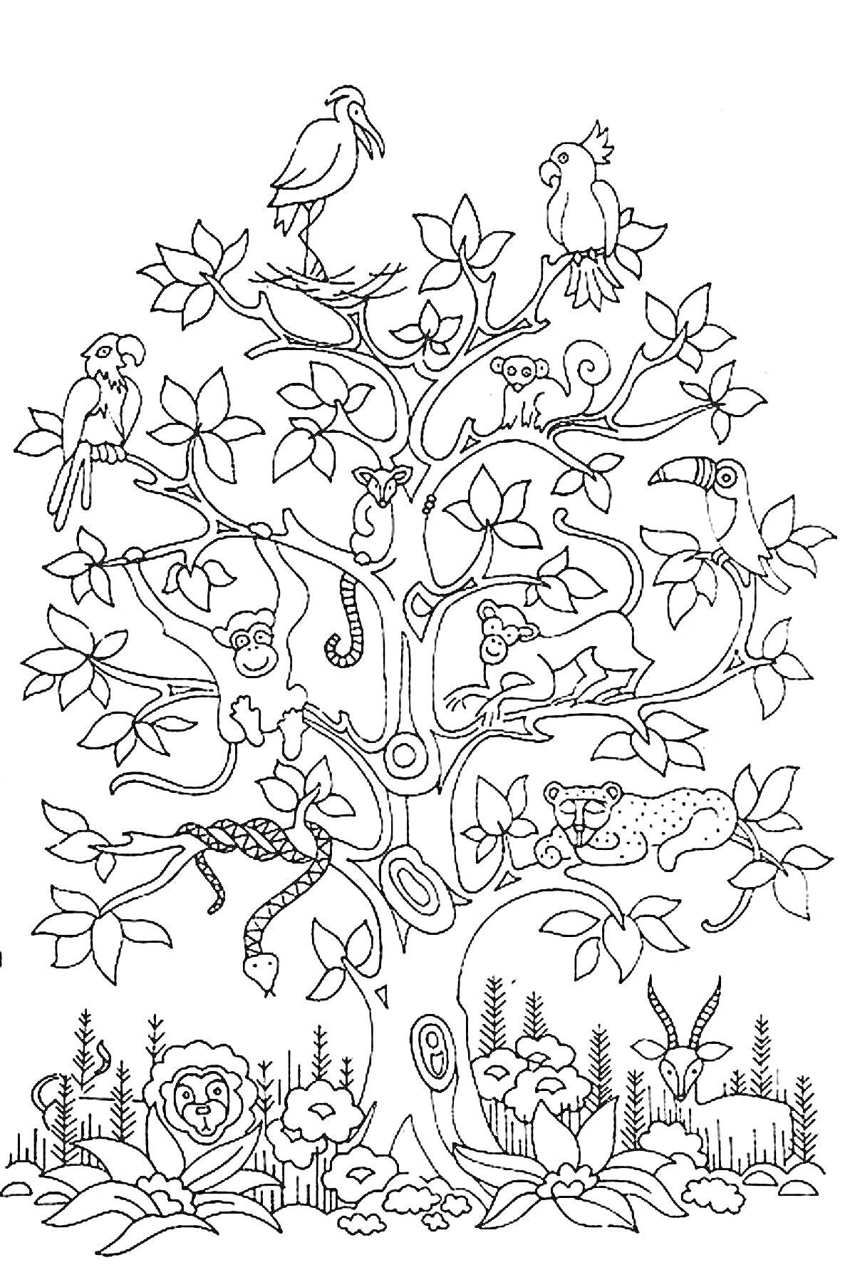 На раскраске изображено: Чудо дерево, Обезьяны, Тукан, Лемур, Леопард, Козы, Цветы, Природа