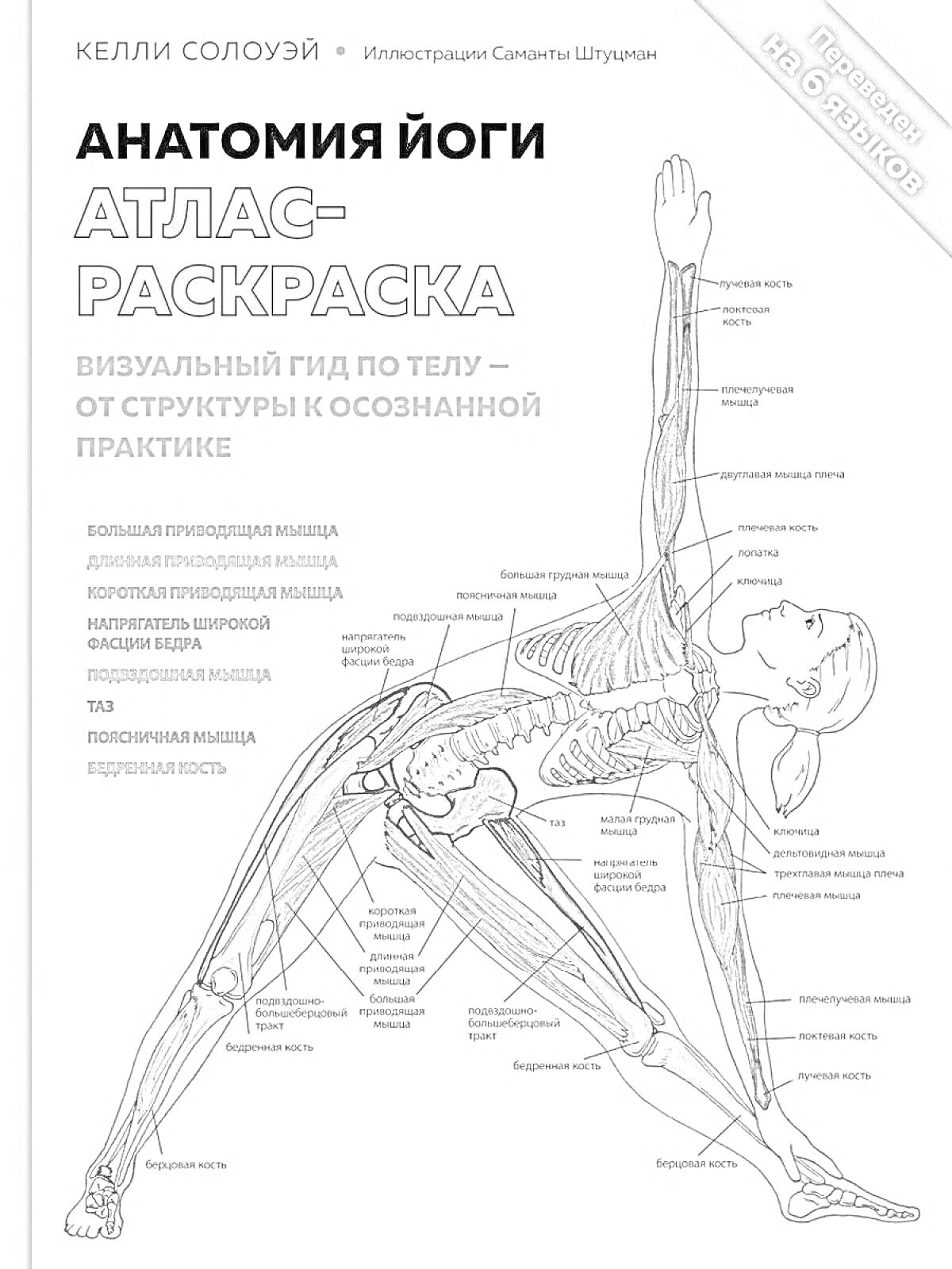 Раскраска Анатомия йоги - Атлас-раскраска: Визуальный гид по телу - от структуры к осознанной практике. На изображении представлены главные мышцы человека в разных частях тела при выполнении йогической асаны.