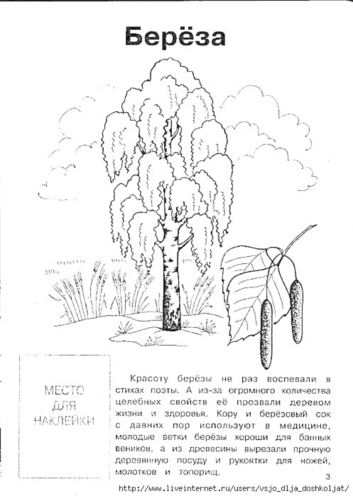 На раскраске изображено: Береза, Листья, Природа, Лес, Пазл, Описание, Облака