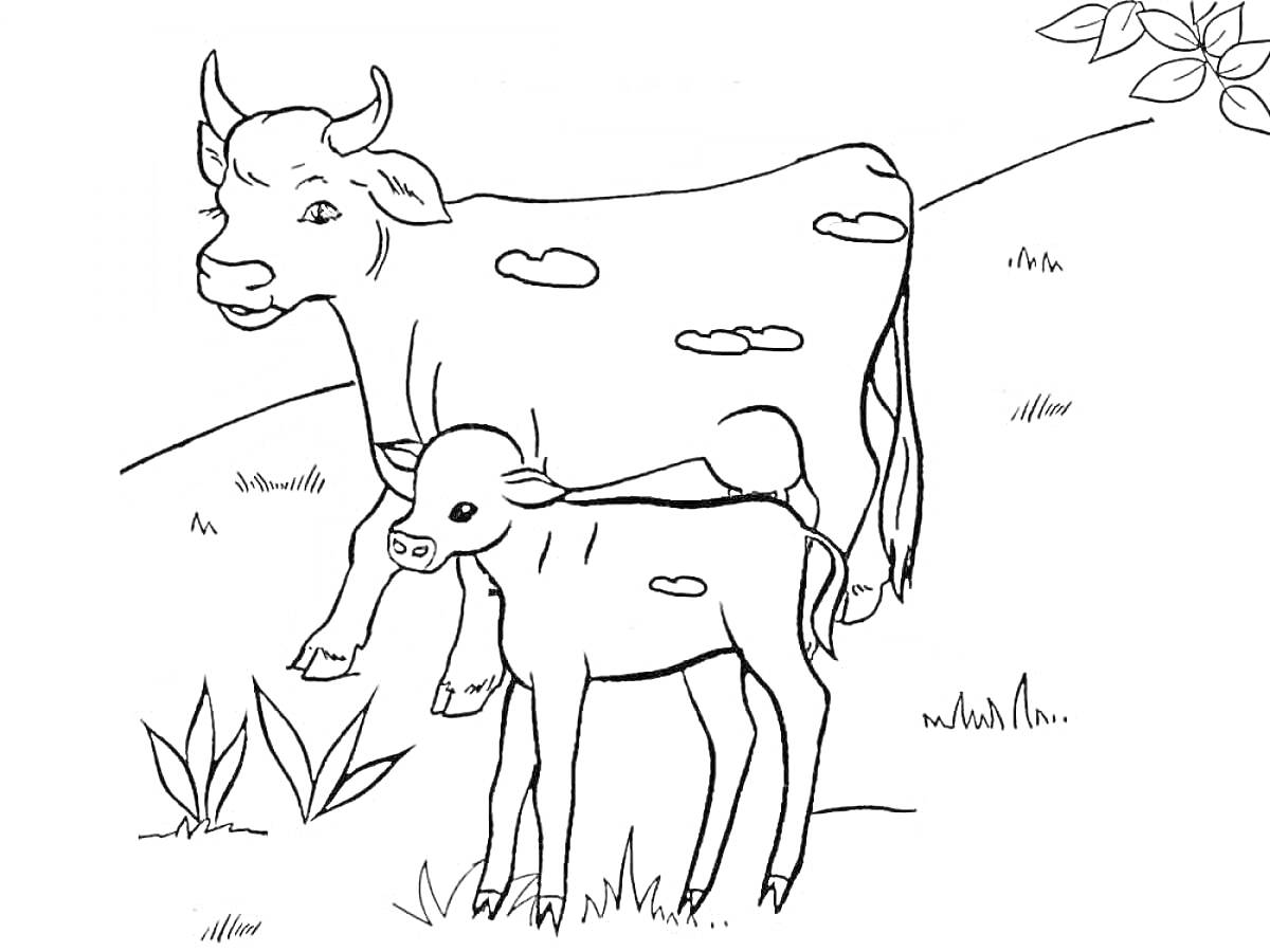 На раскраске изображено: Корова, Теленок, Луг, Трава, Листья, Домашние животные, Для детей