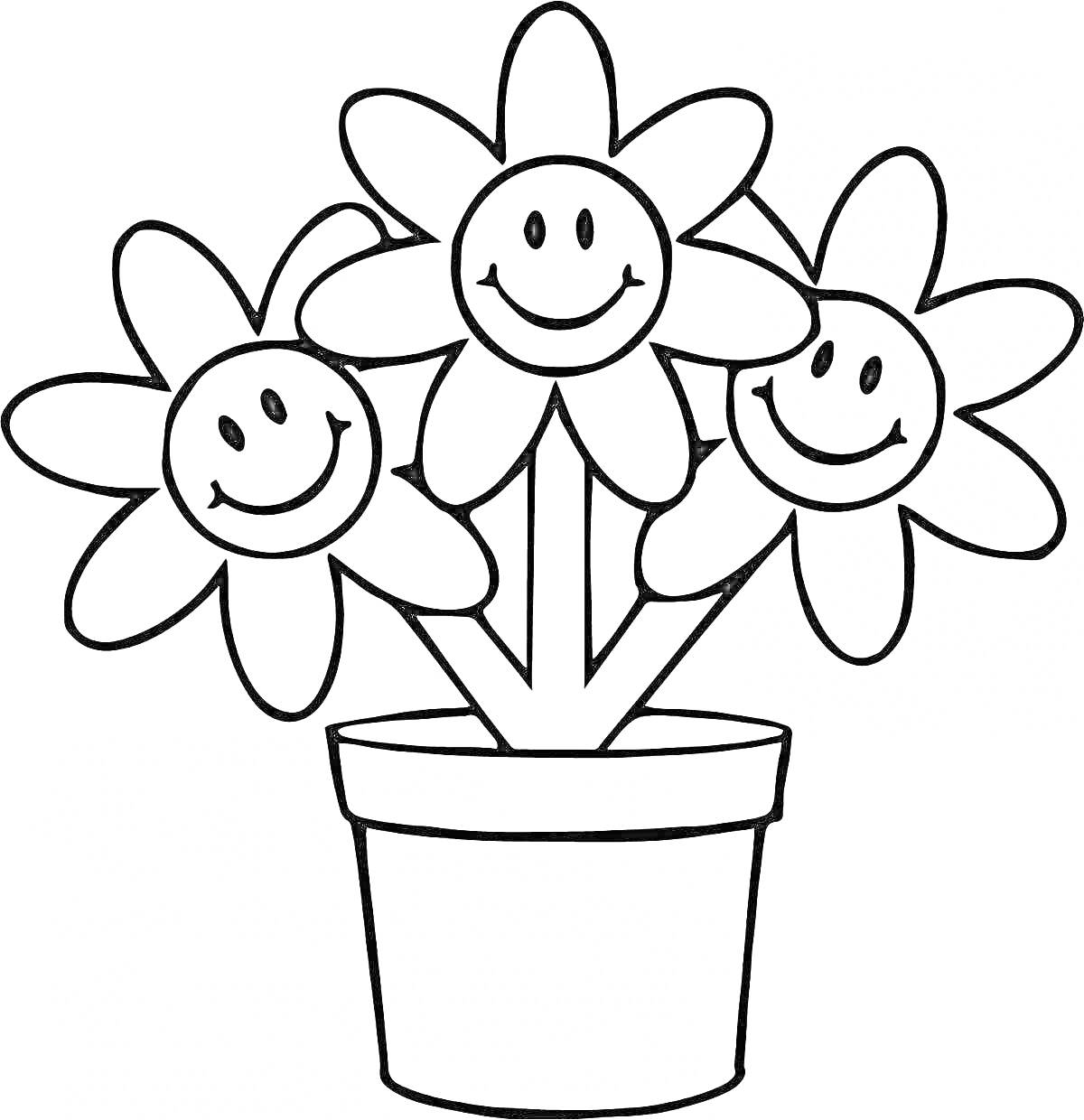 Три улыбающихся цветка в горшке