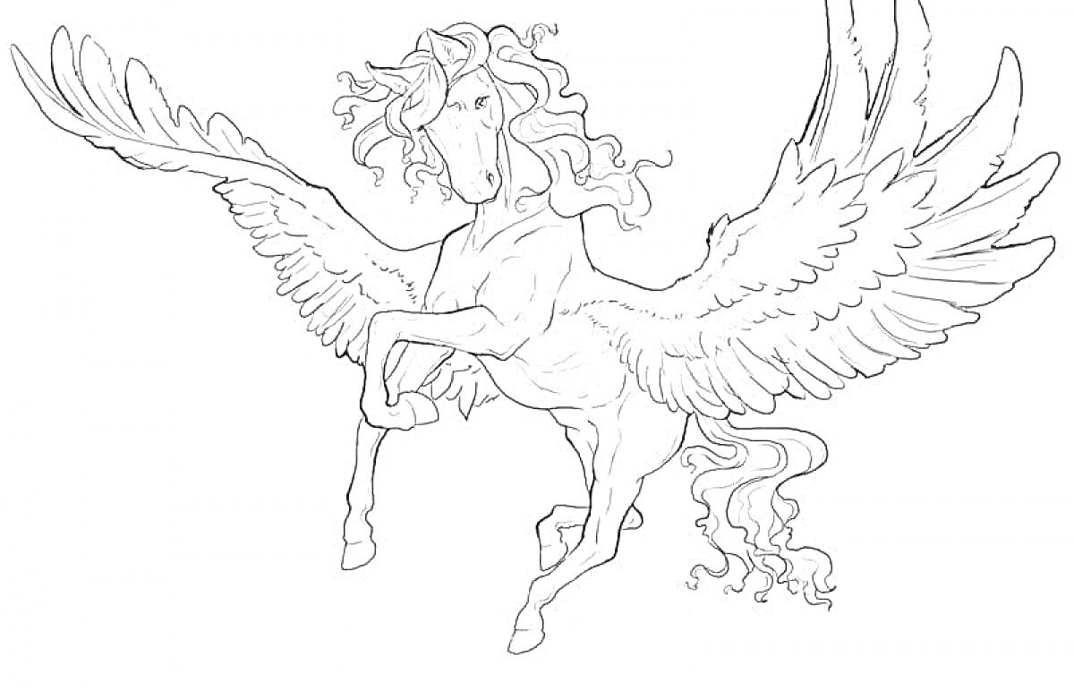 На раскраске изображено: Пегас, Крылья, Грива, Лошадь, Мифические существа