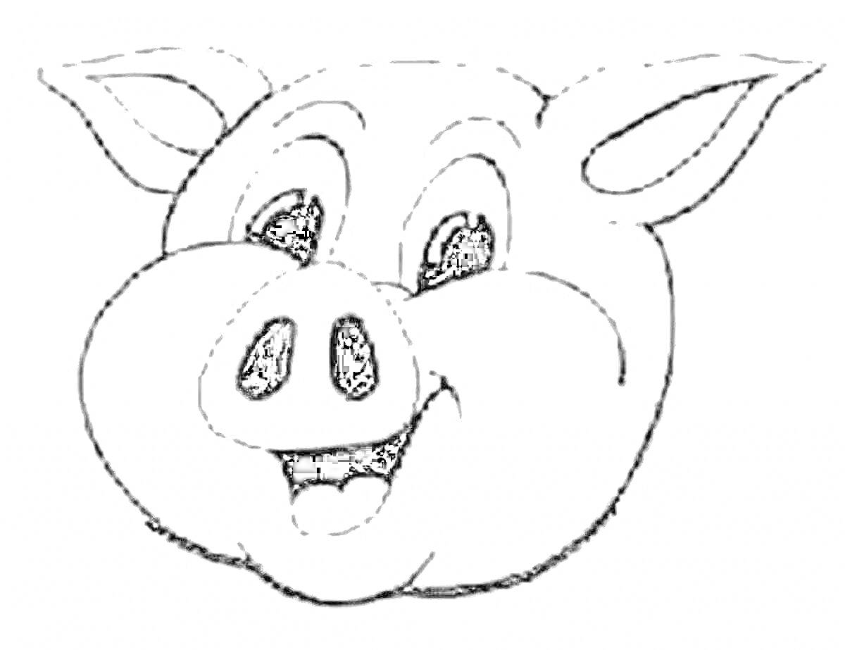 Раскраска мордочка свиньи с большими ушами, улыбкой и большими глазами
