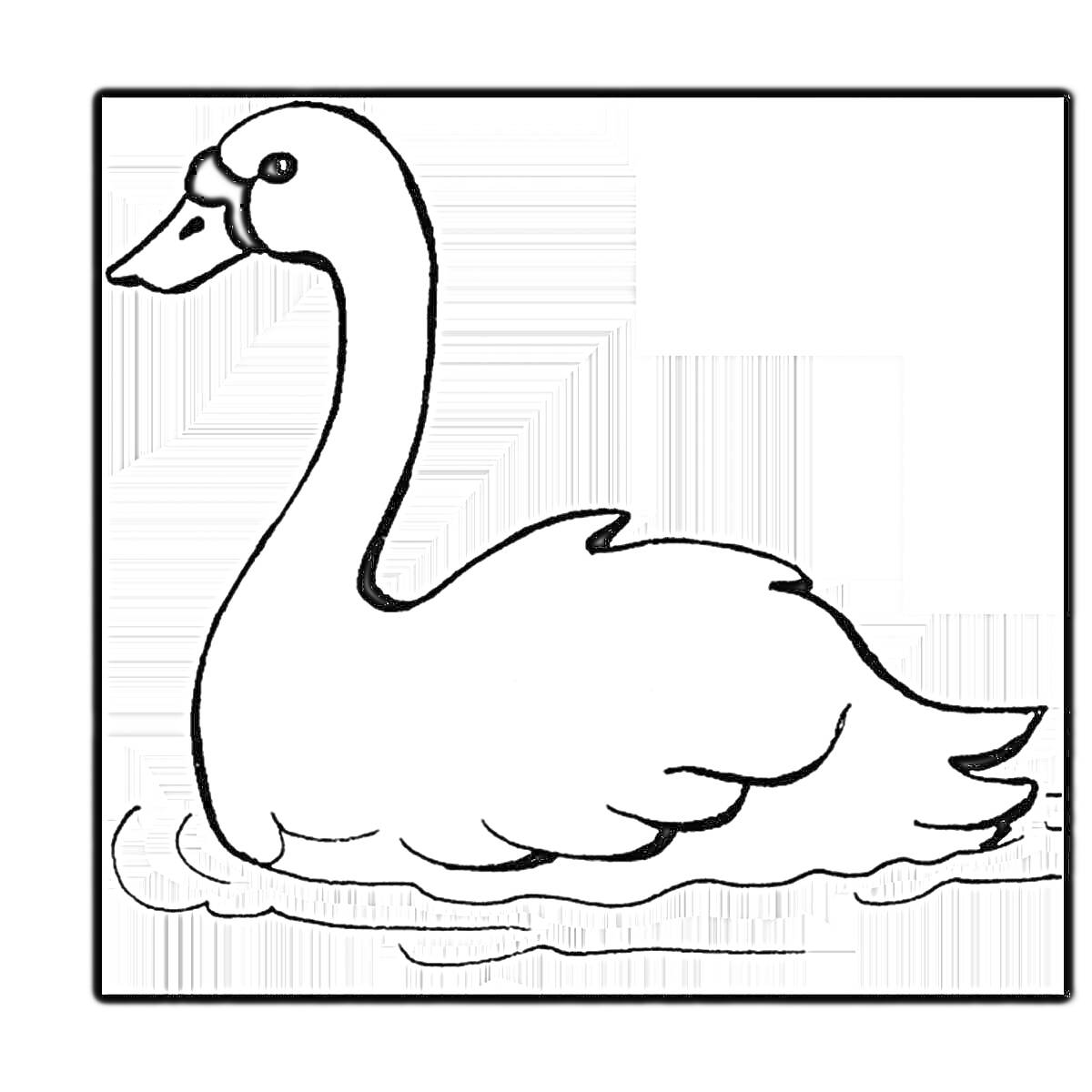 На раскраске изображено: Лебедь, Вода, Плавание, Птица, Природа, Контурные рисунки