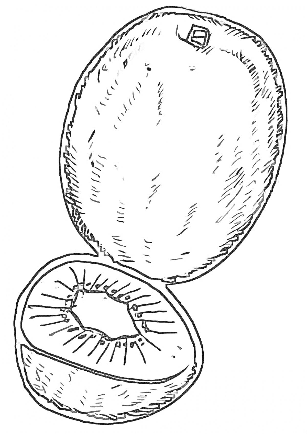 На раскраске изображено: Киви, Фрукты, Для детей, Целый киви, Разрезанный киви