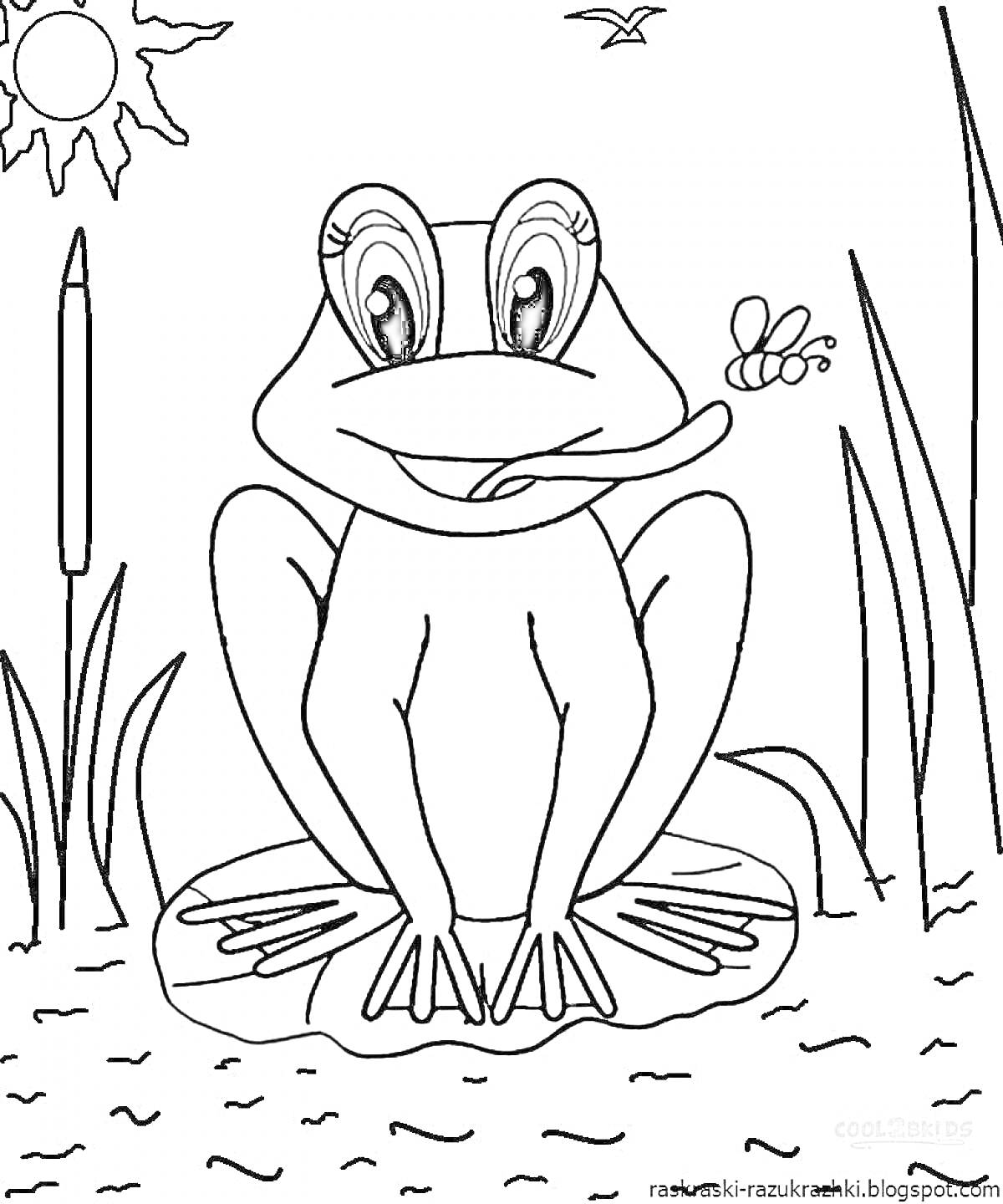 Раскраска лягушка путешественница сидит на кувшинке в пруду, на заднем плане солнце, камыши, стрекоза и бабочка
