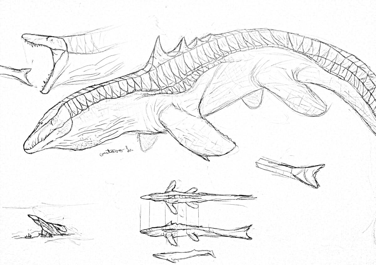 Раскраска Мезозавр, открытый рот, вид сбоку, хвостовой плавник, подводное изображение