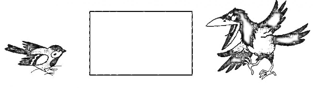 Раскраска Воробей с палочкой, прямоугольник, ворона с раскрытым клювом и распростертыми крыльями