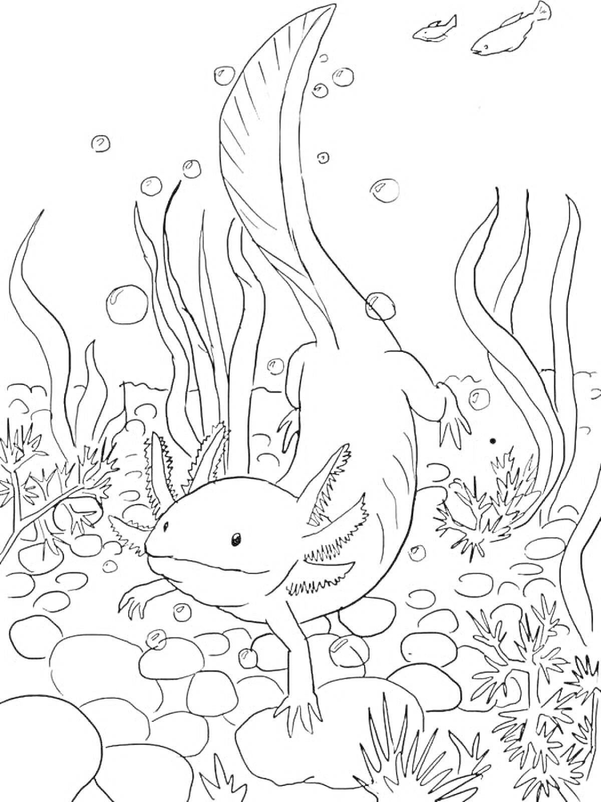 На раскраске изображено: Аксолотль, Подводный мир, Растения, Скалы, Пузыри, Вода, Рыба