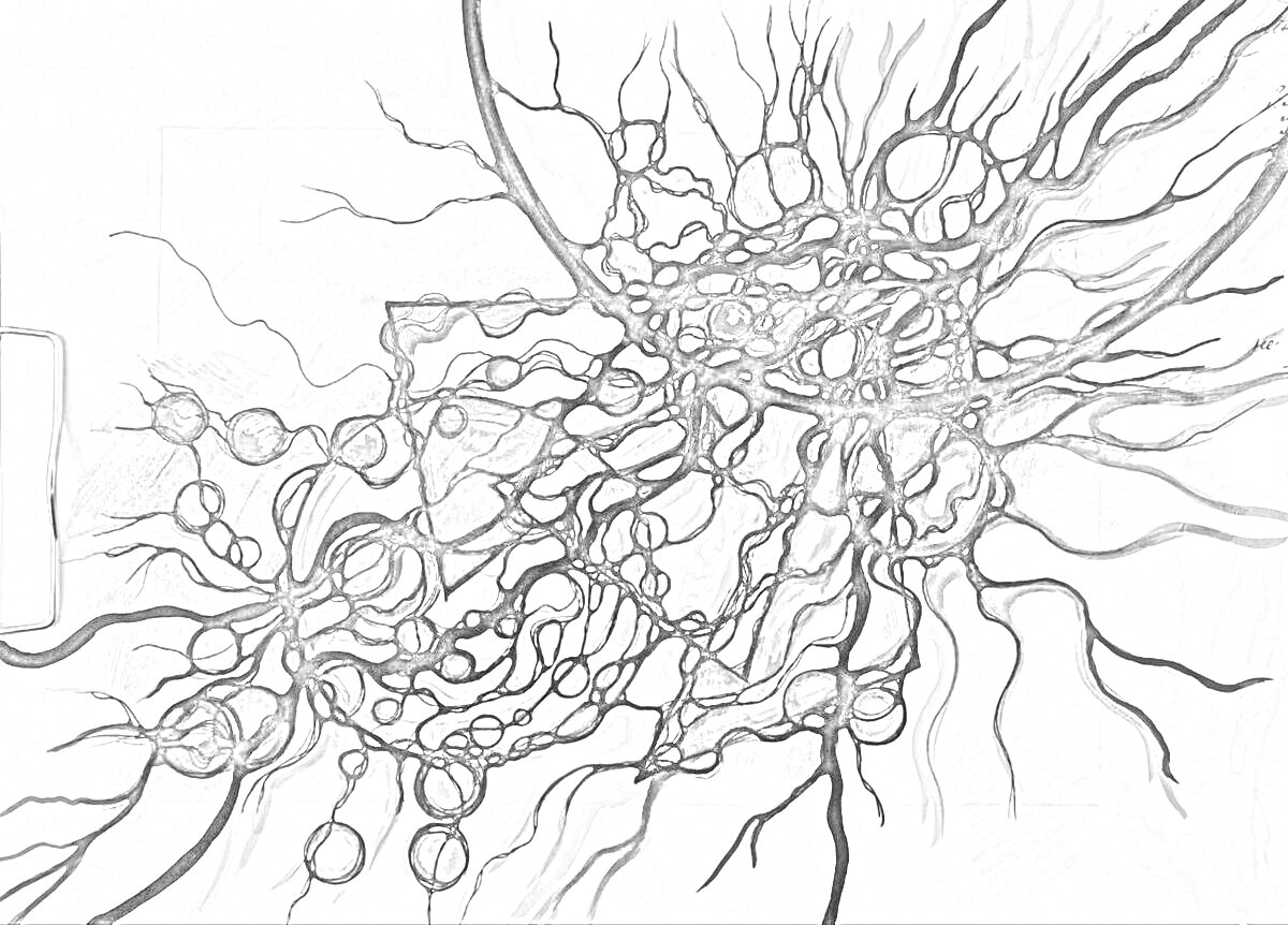 На раскраске изображено: Нейрографика, Абстракция, Узоры, Линии, Круги, Волны, Искусство, Творчество