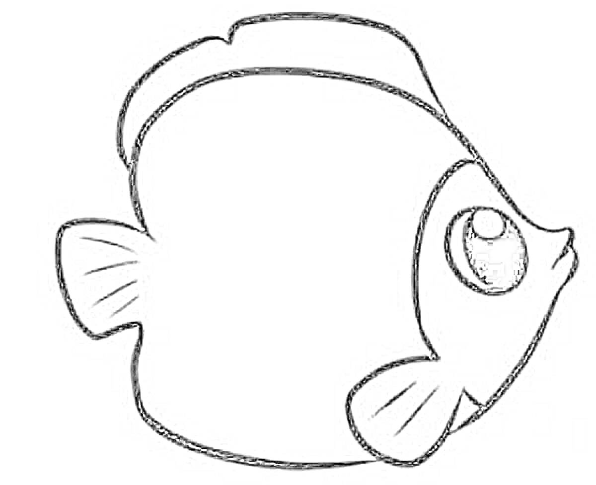 Раскраска Рыбка с большими глазами и плавниками