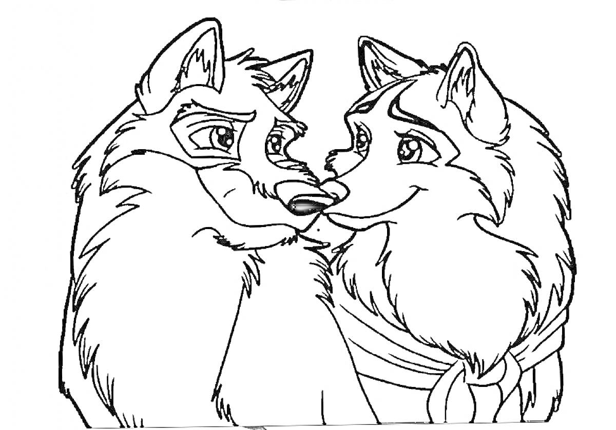 Раскраска Два волка смотрят друг на друга