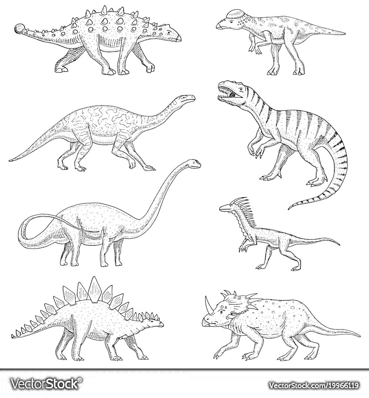 Раскраска Динозавры: Анкилозавр, Пахицефалозавр, Брахиозавр, Аллозавр, Диплодок, Целурозавр, Стегозавр, Трицератопс