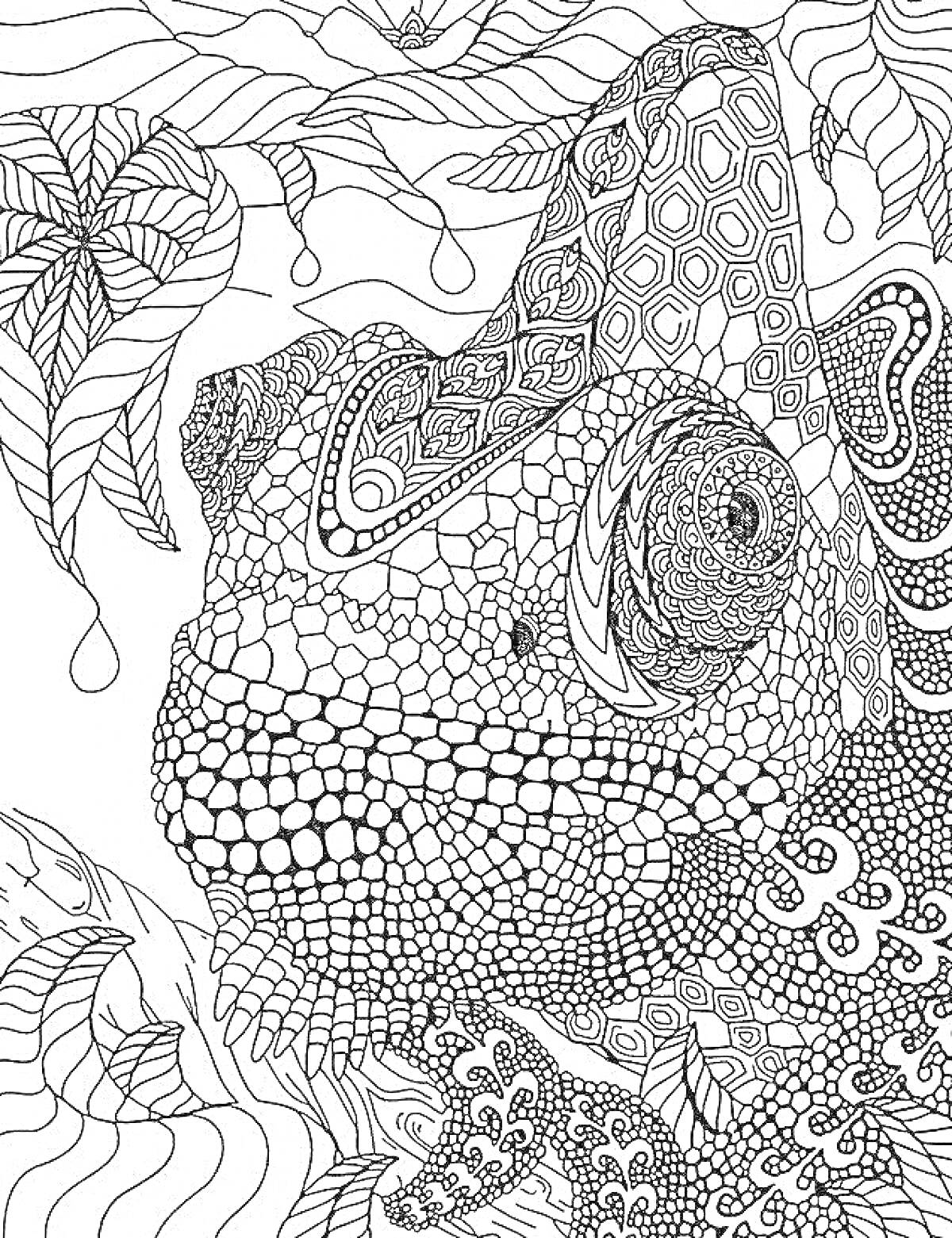 Раскраска Хамелеон с детализированными узорами, листья
