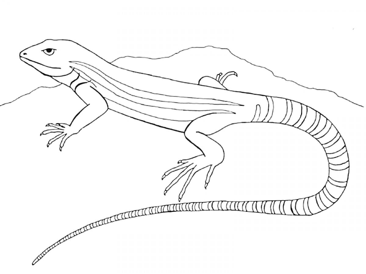 Раскраска Ящерица с длинным хвостом на фоне пустынного пейзажа (включены линии на теле ящерицы и горный пейзаж на заднем плане)