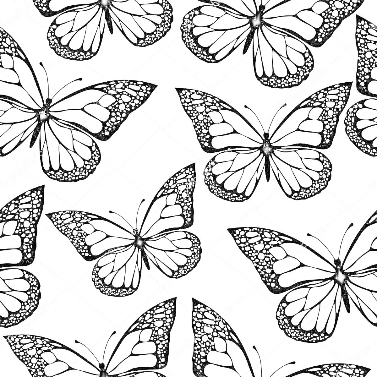 Раскраска Раскраска черно-белая с множеством бабочек