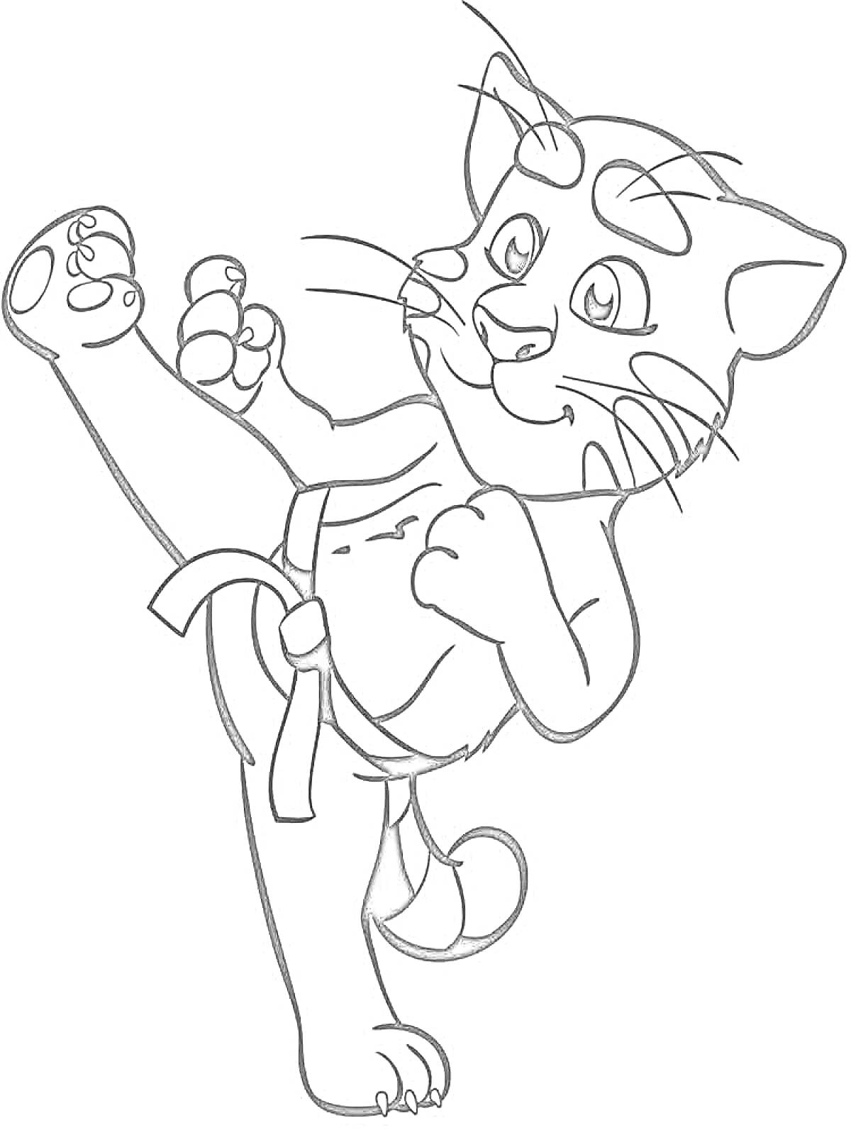 Раскраска Кот в боевых искусствах с поднимающейся ногой и бойцовской стойкой