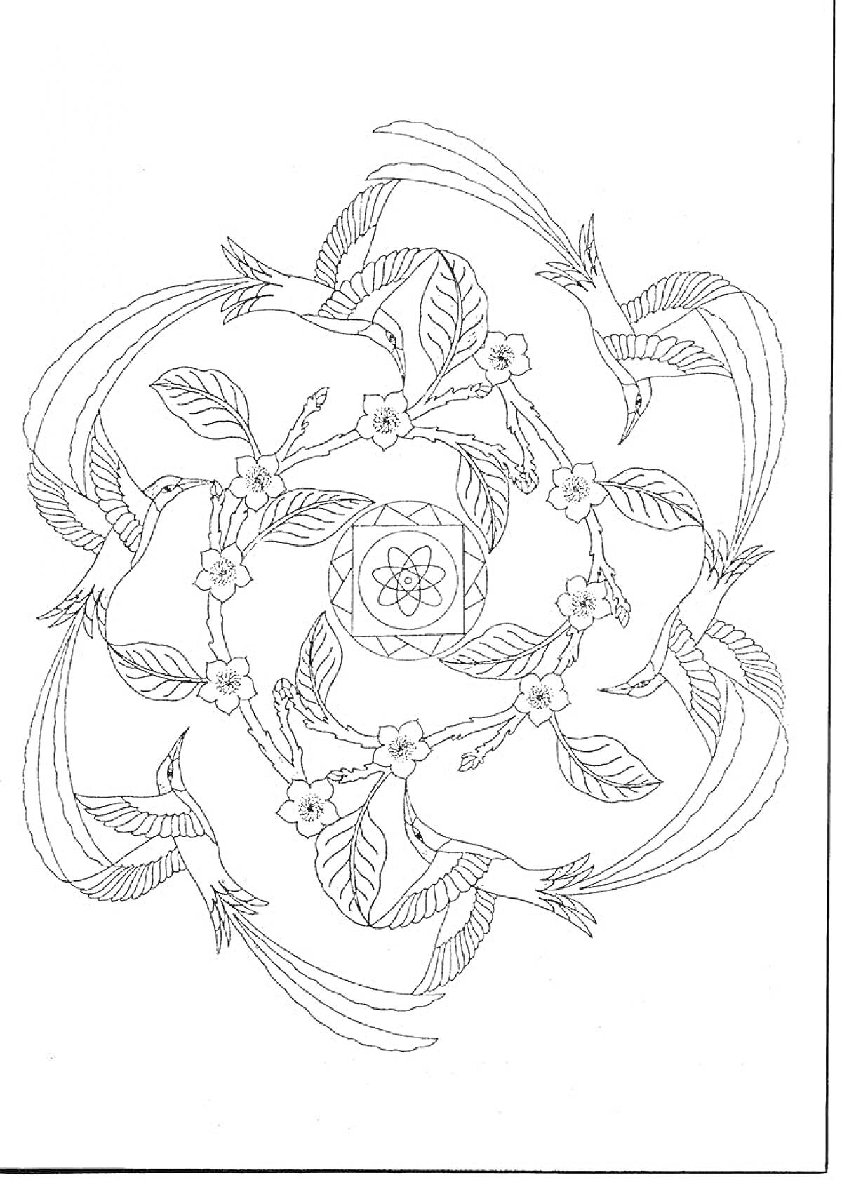 На раскраске изображено: Колибри, Цветы, Листья, Природа