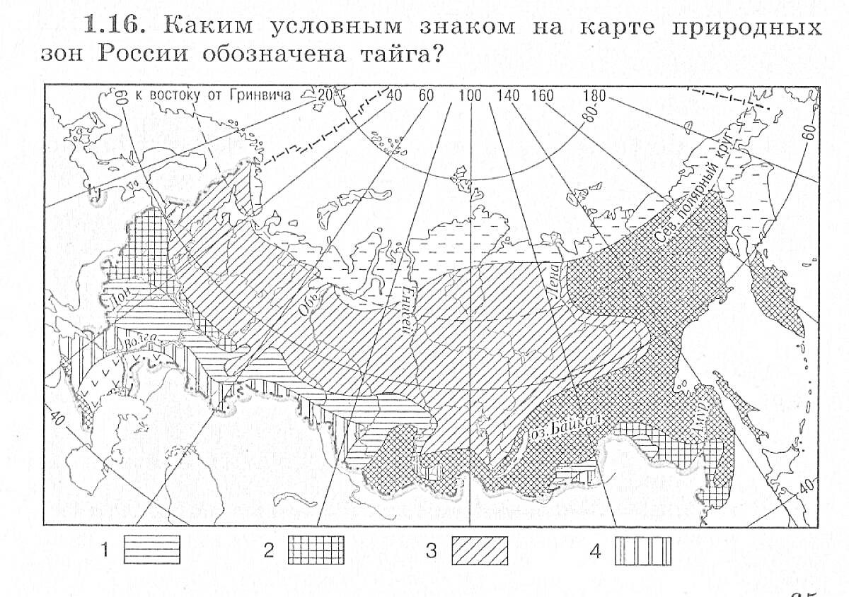 Раскраска Карта природных зон России с выделенными регионами тайги, тундры, смешанных лесов и степей для четвертого класса