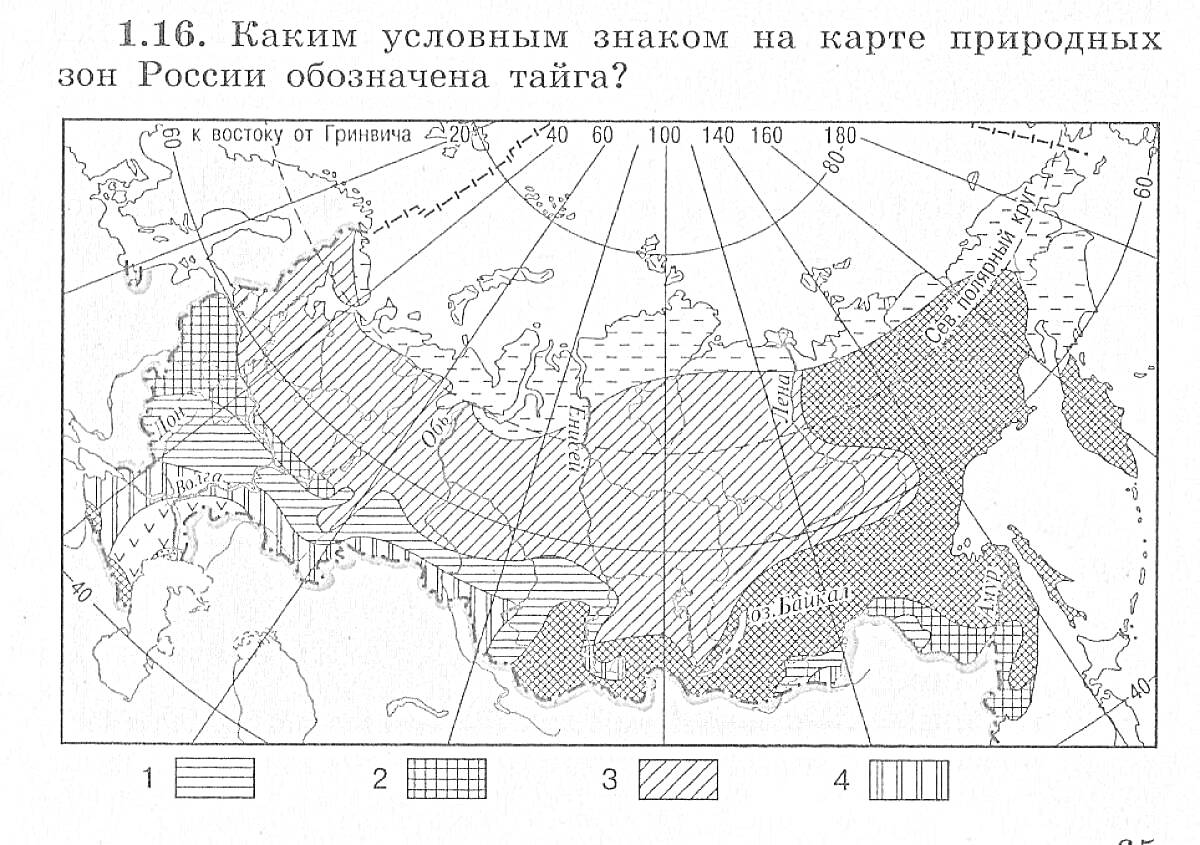 Карта природных зон России с выделенными регионами тайги, тундры, смешанных лесов и степей для четвертого класса