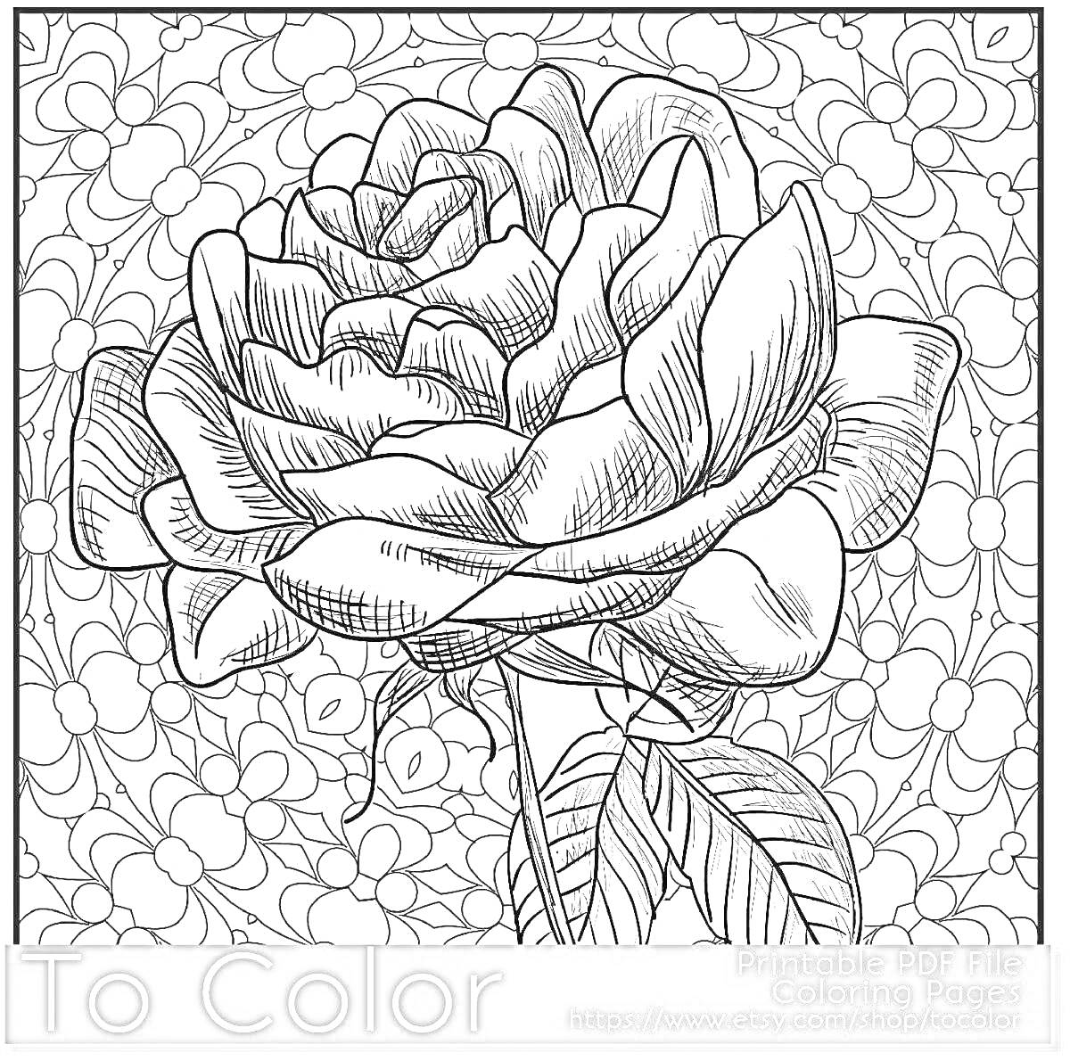 Раскраска Роза с листьями на фоне множества мелких цветов