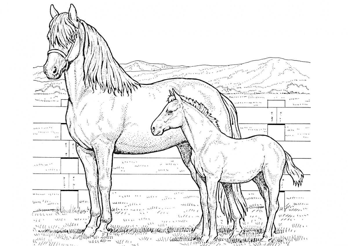 Две лошади на фоне забора и гор