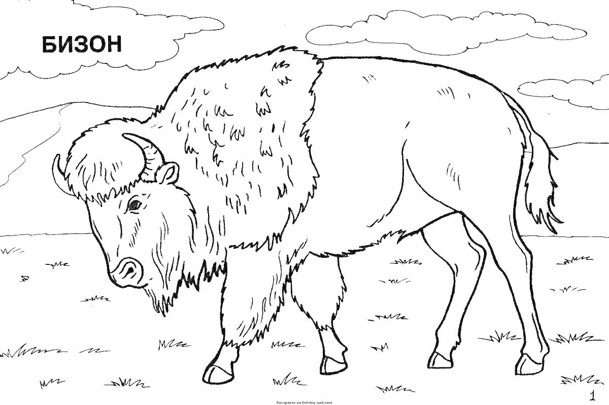 Раскраска Бизон на лугу с горами и облаками на заднем плане