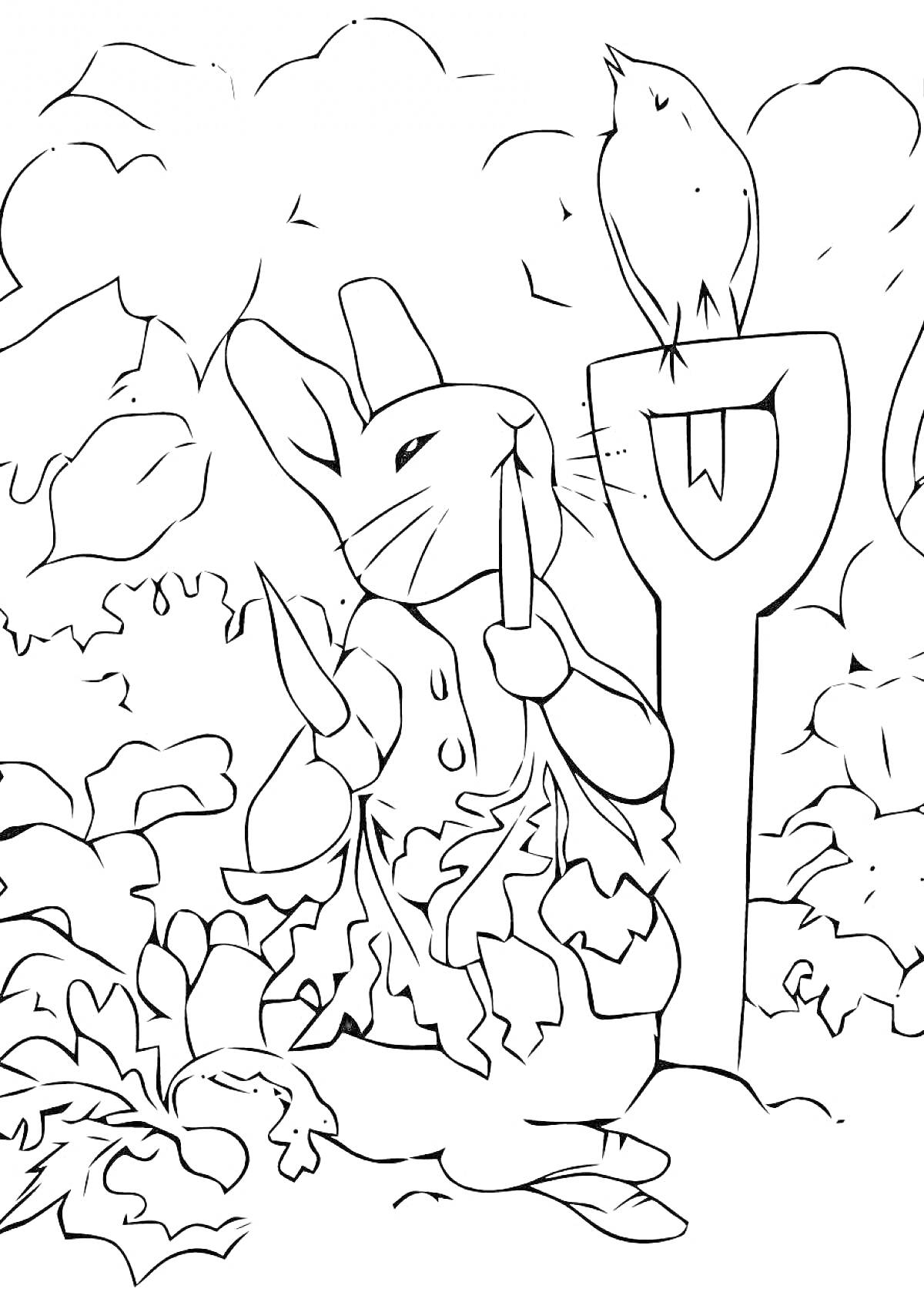 Раскраска Кролик Питер с морковками, птица на лопате, листья и растения