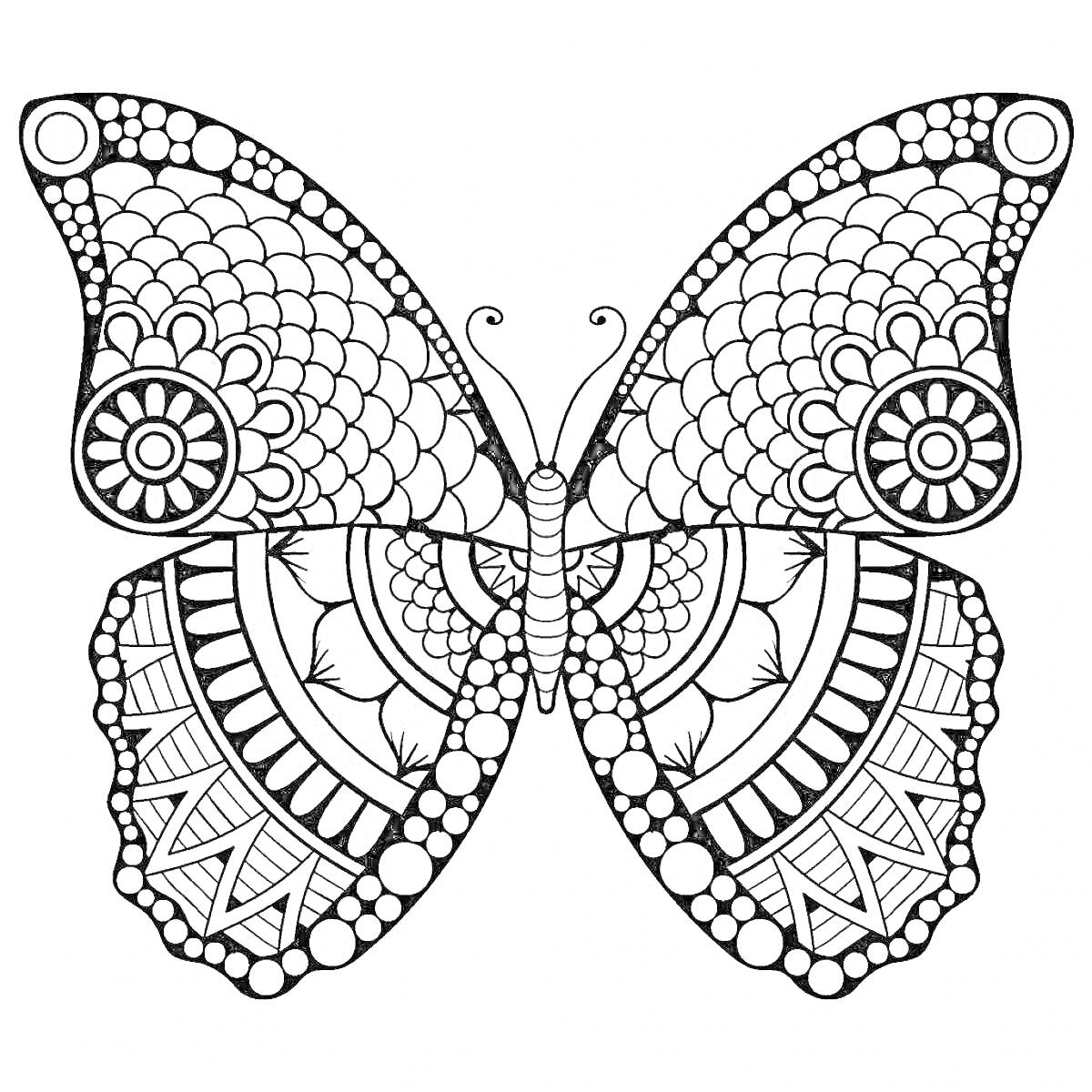 На раскраске изображено: Бабочка, Орнамент, Цветочные мотивы, Геометрические формы, Кружки, Линии, Узоры
