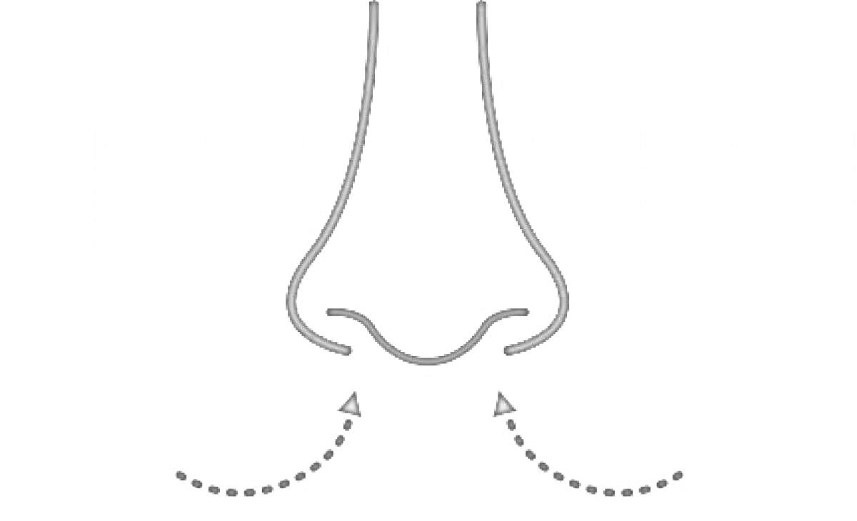 На раскраске изображено: Нос, Стрелки, Дыхание, Схема