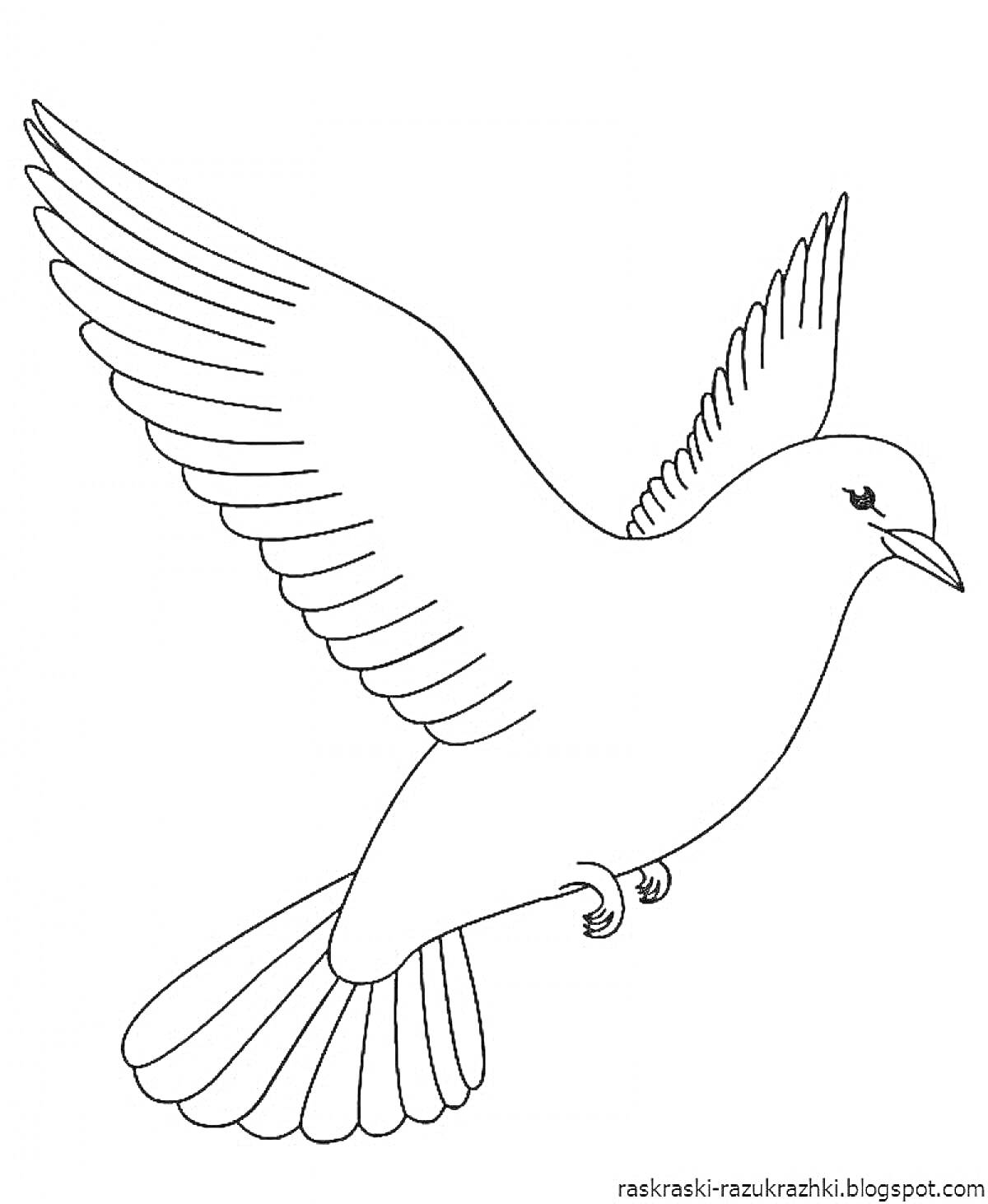 На раскраске изображено: Птица, Расправленные крылья, Для детей, Животные, Голуби