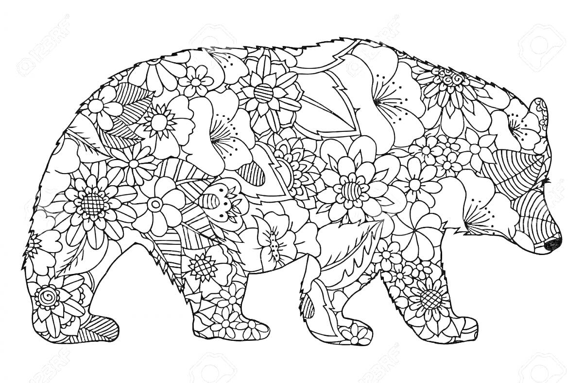 Раскраска Антистресс раскраска медведя с узорами из цветов и листьев