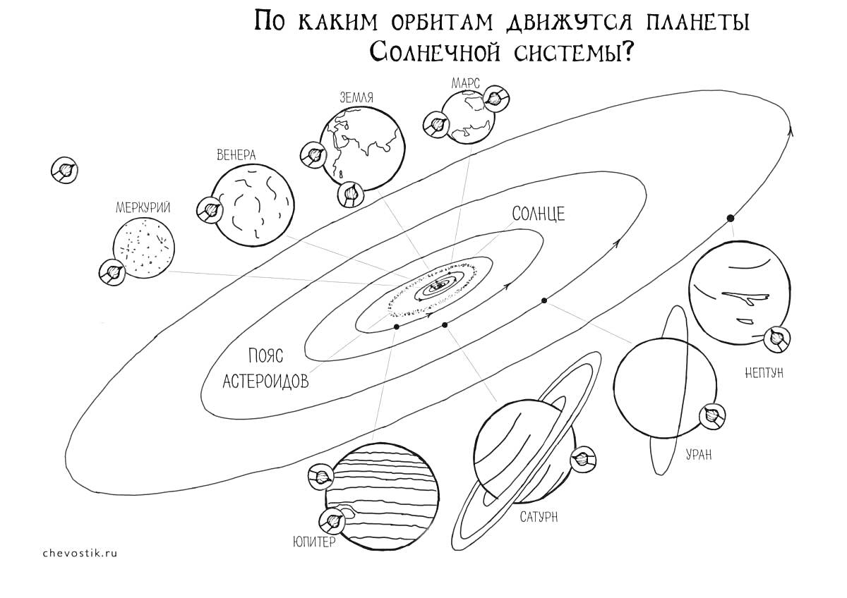 На раскраске изображено: Солнечная система, Орбиты, Планеты, Космос, Меркурий, Венера, Земля, Марс, Юпитер, Сатурн, Уран, Нептун, Солнце, Астрономия, Научная иллюстрация