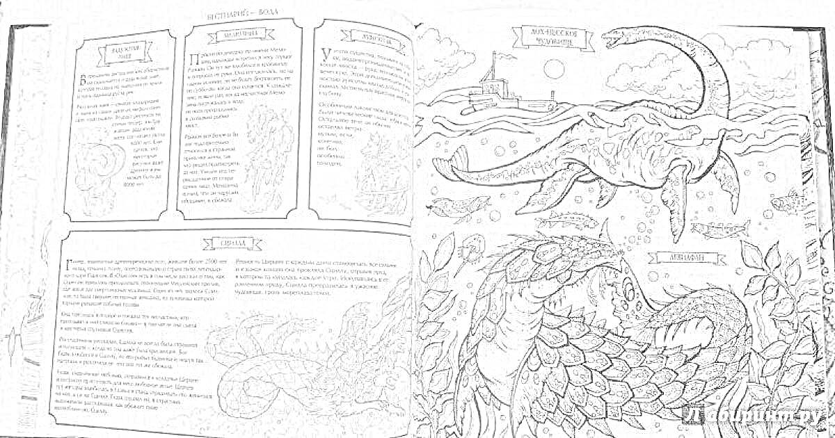 Раскраска Монстры и мифические существа, плавающие динозавры, водные драконы