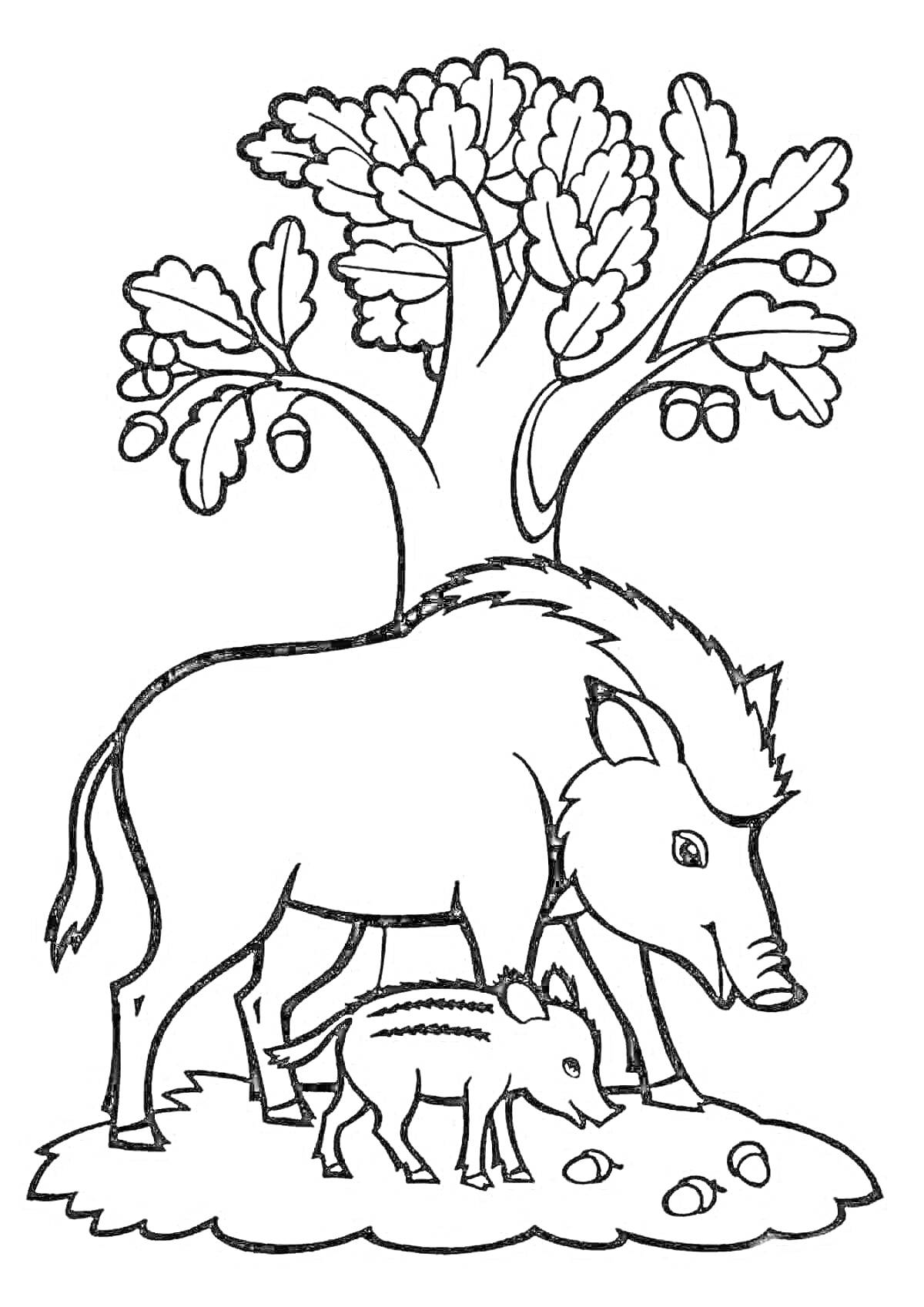 На раскраске изображено: Лесные животные, Кабан, Дуб, Листья, Деревья, Для детей, Природа, Желуди