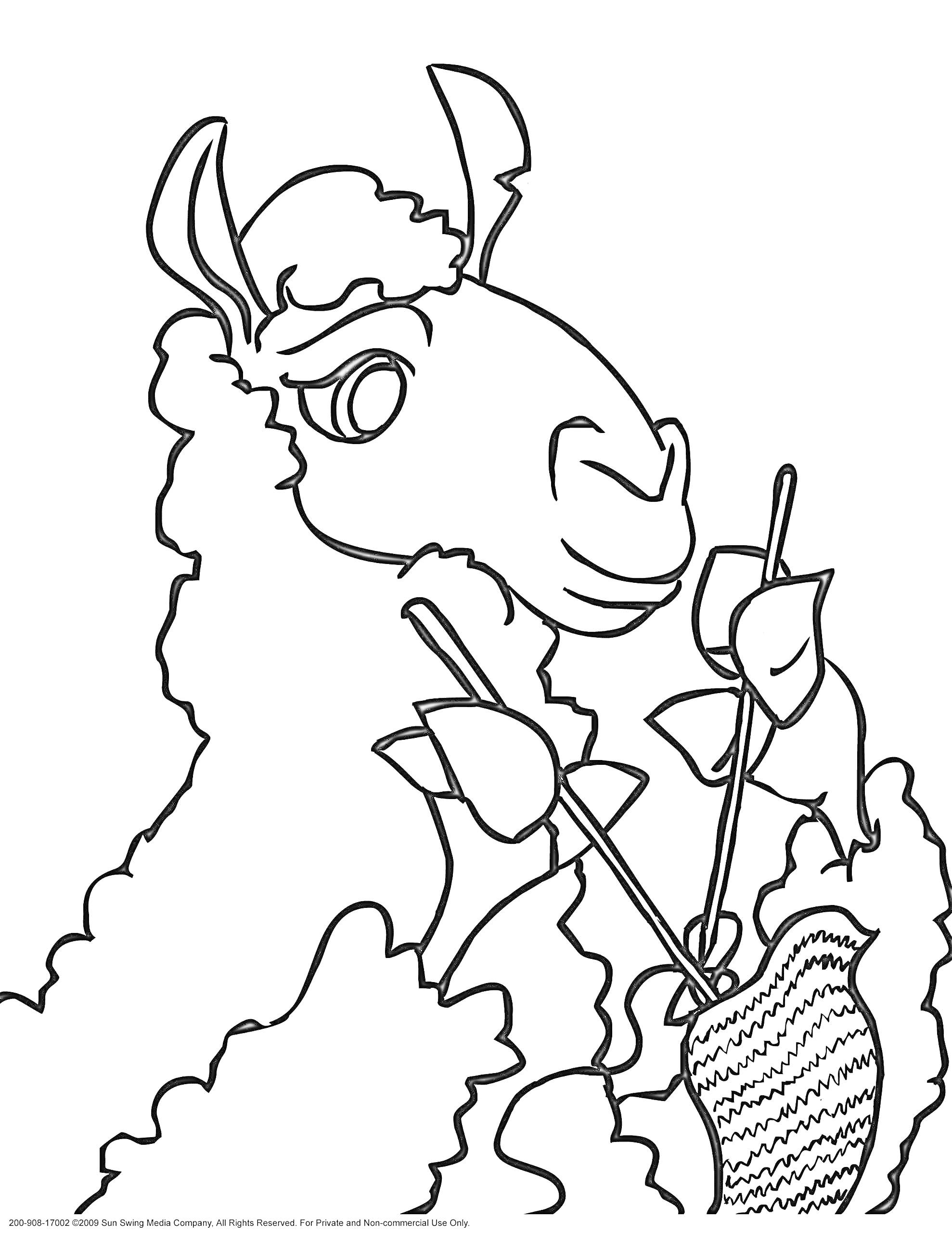 На раскраске изображено: Лама, Вязание, Спицы, Шерсть, Животные, Рукоделие, Для детей