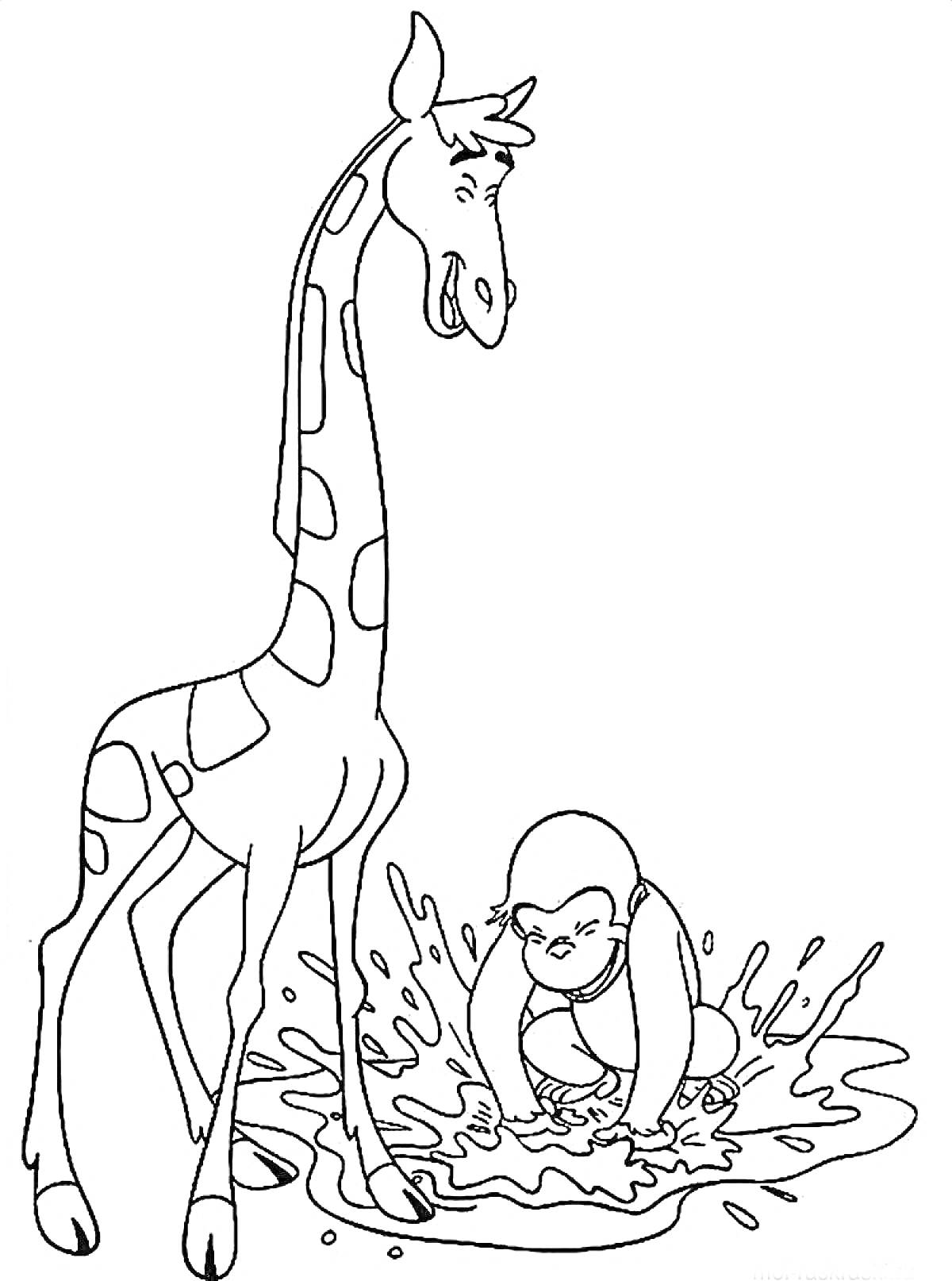Раскраска Жираф и обезьяна играют в луже