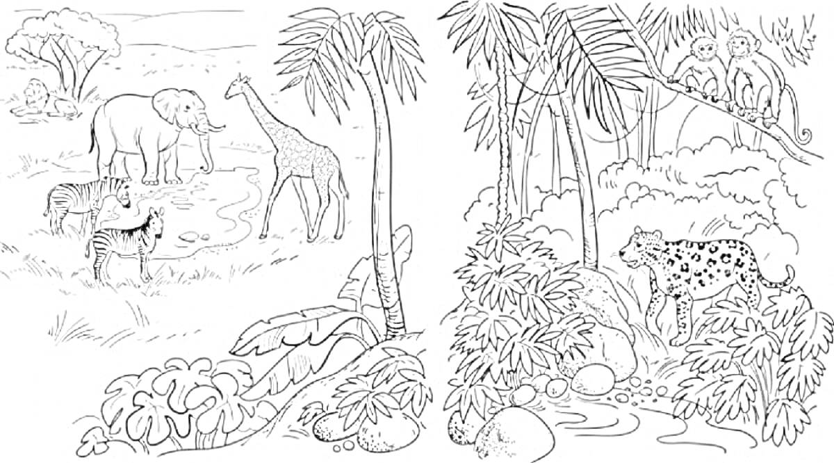 Раскраска Животные в сафари и лесу, включая слона, жирафа, зебр, мартышек и леопарда, окружённых деревьями и кустарниками