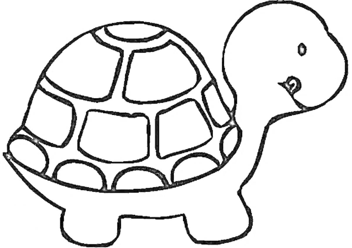 Раскраска Черепаха с простой геометрической кривой для раскрашивания