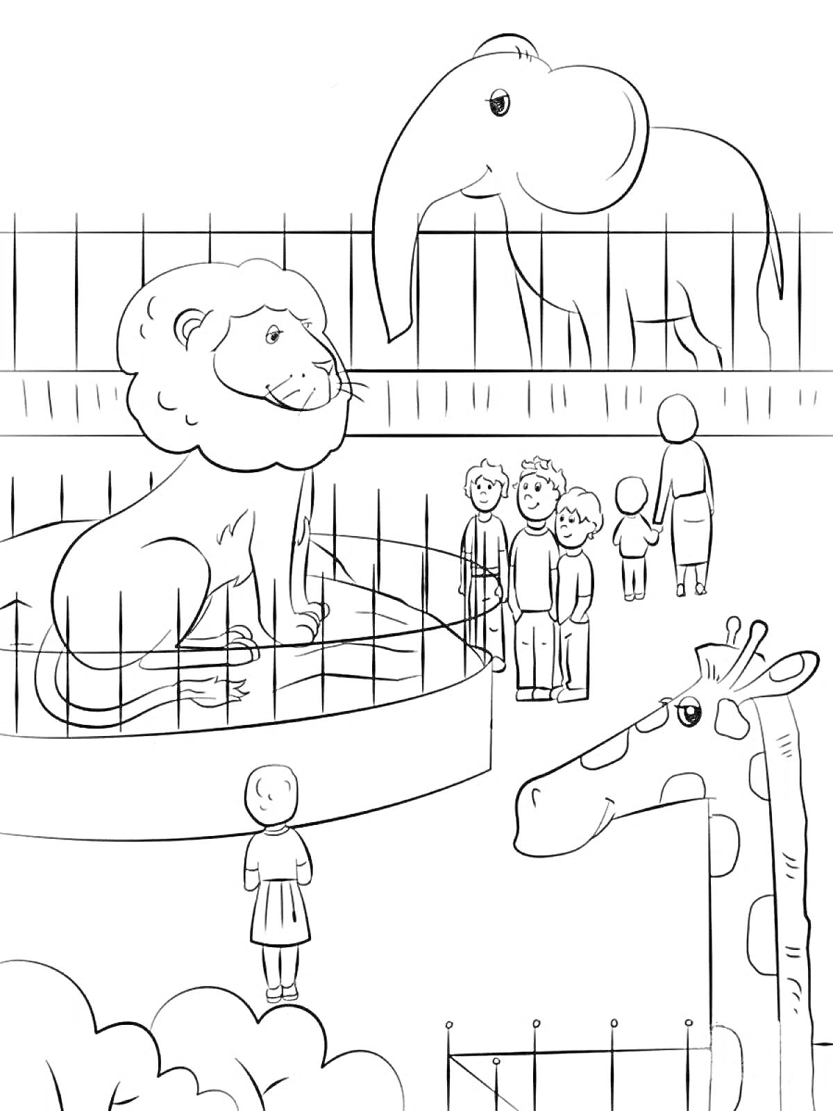 РаскраскаЗоопарк с львом, жирафом, слоном и посетителями