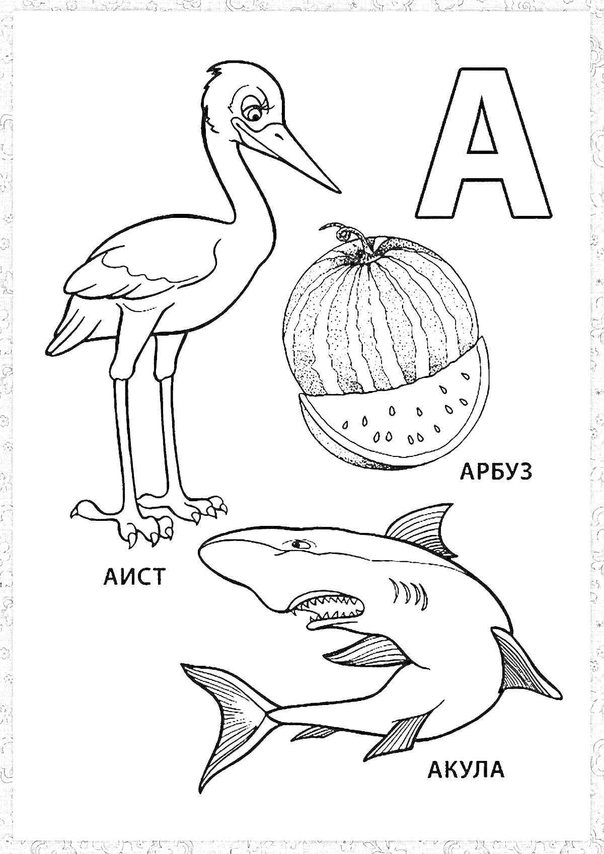 На раскраске изображено: Аист, Арбуз, Буква А