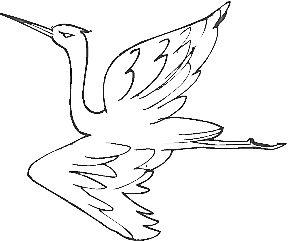 На раскраске изображено: Журавль, Птица, Полет, Крылья, Природа, Контурные рисунки