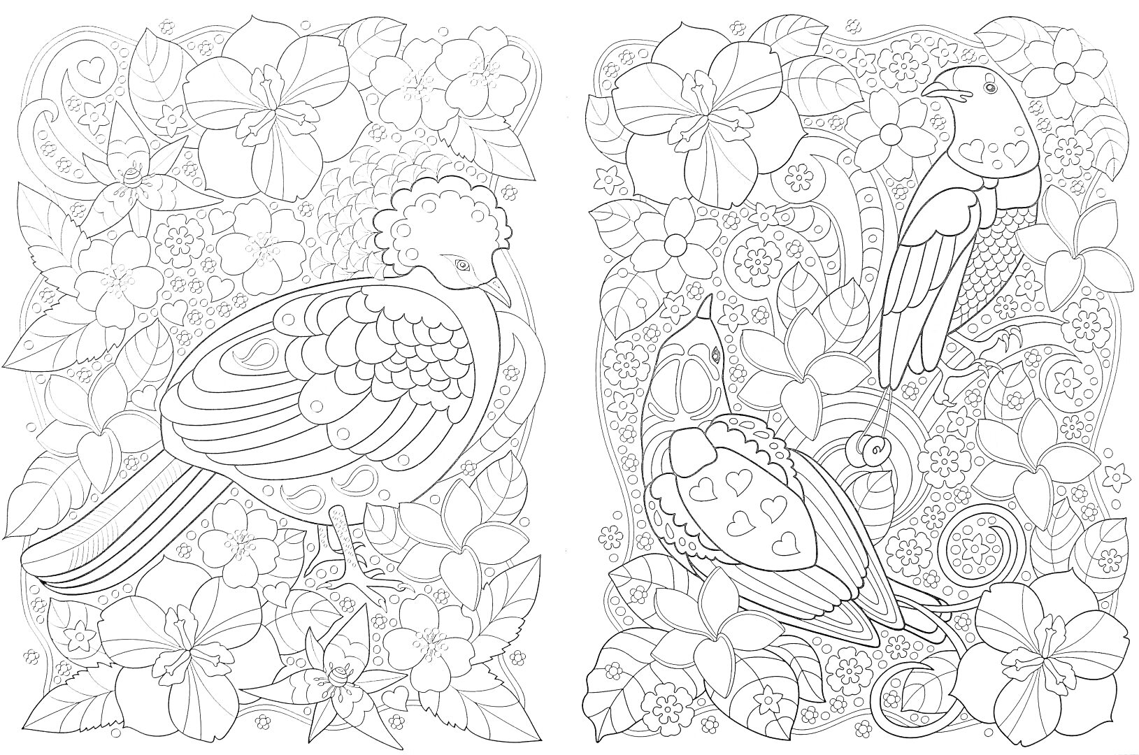 Раскраска Птицы среди цветущих растений, весенние цветы и узоры