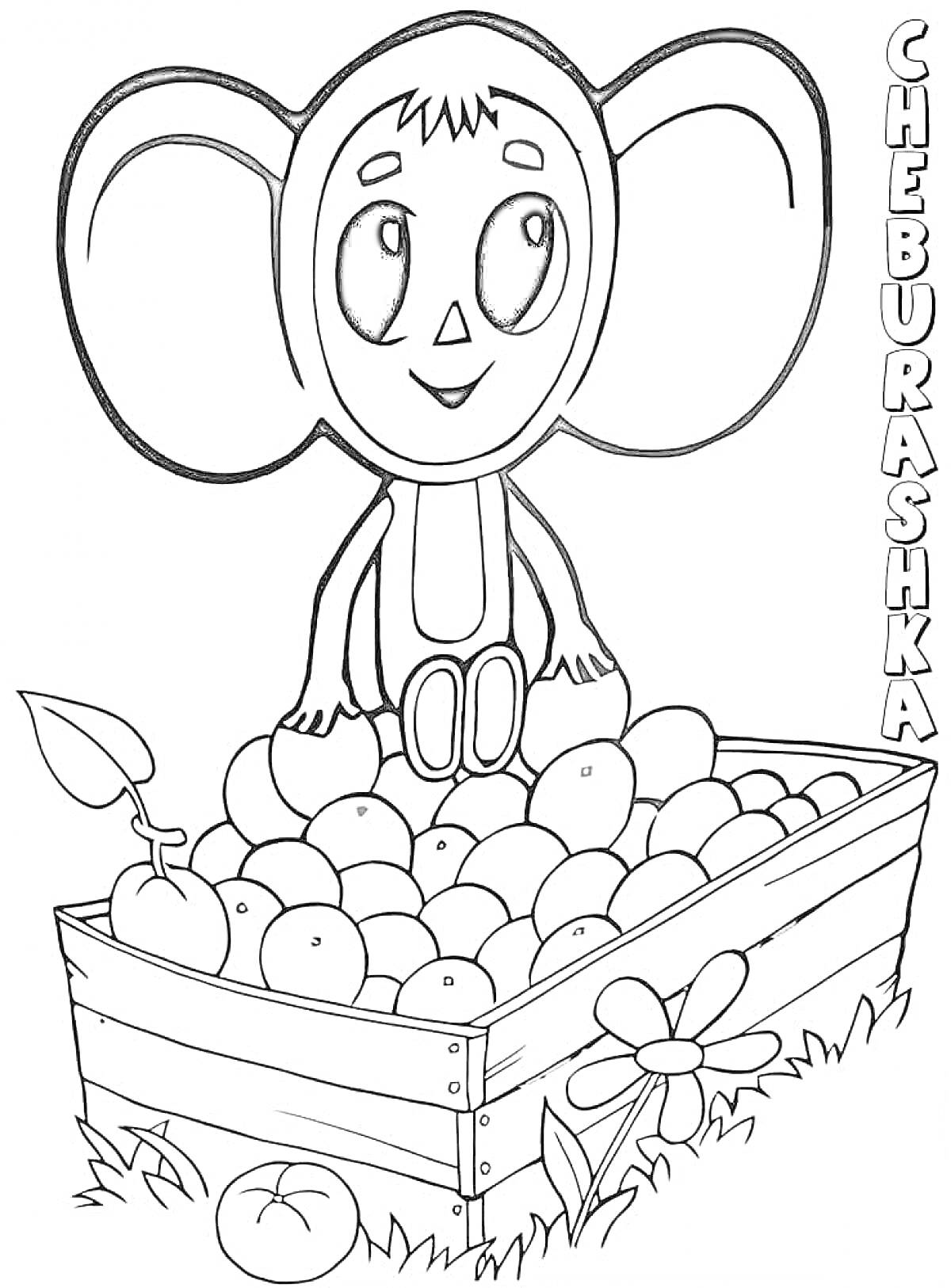 Раскраска Чебурашка сидит на ящике с фруктами, цветок, трава, яблоко