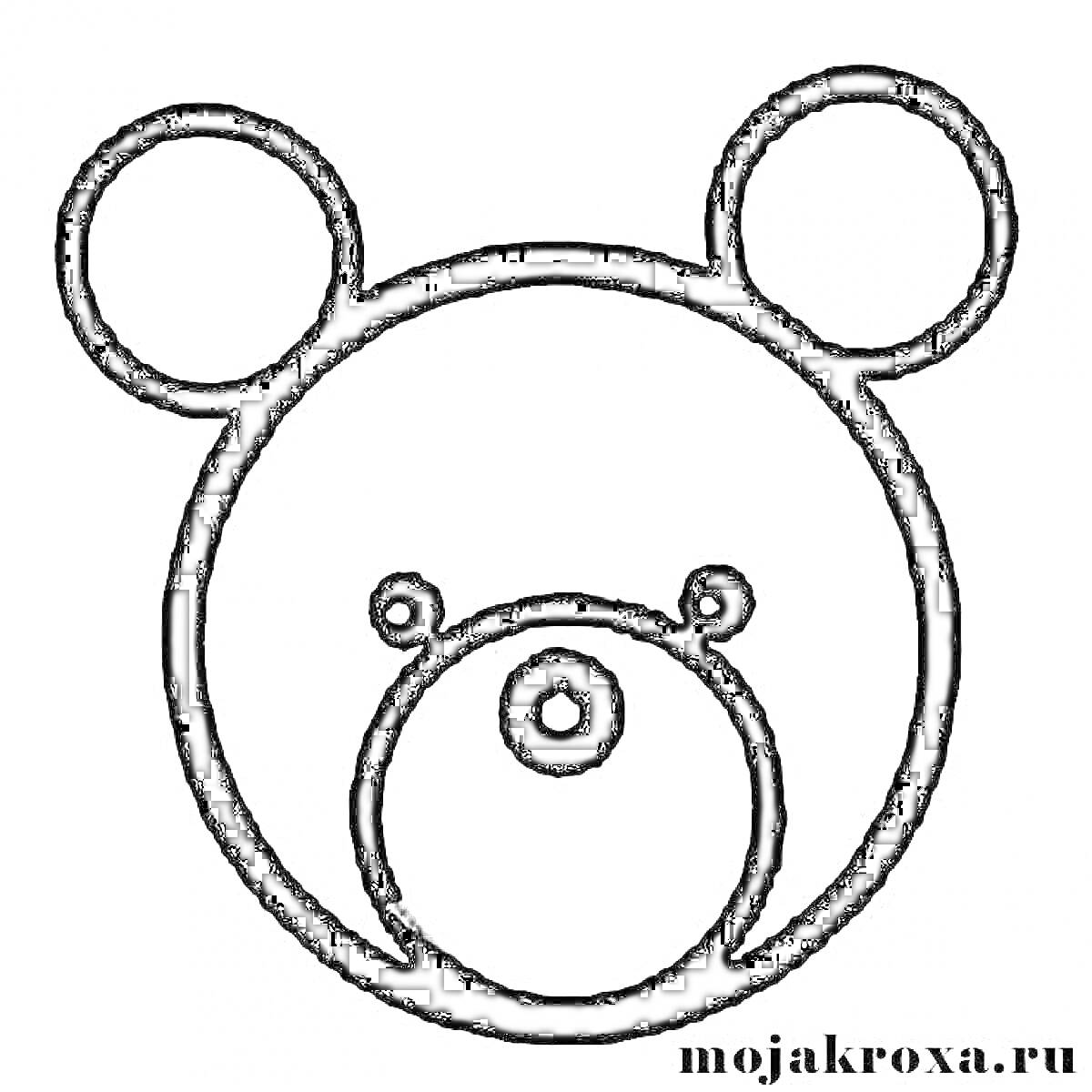 Раскраска Голова медведя с круглыми ушами, выразительными глазами и носом