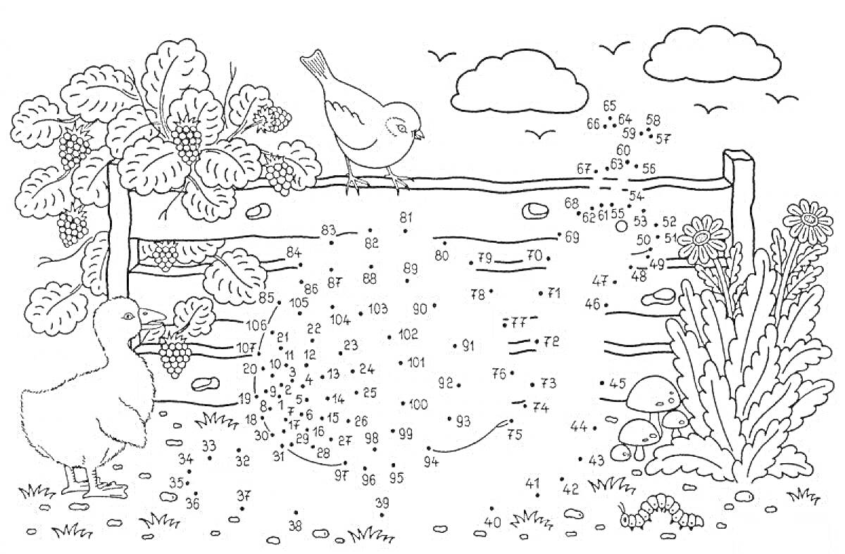 Раскраска Два утенка, птичка на заборе, кусты, деревья, грибы, облака