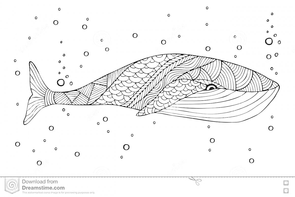 Раскраска Китовое раскраска с узорами, волнами и пузырьками