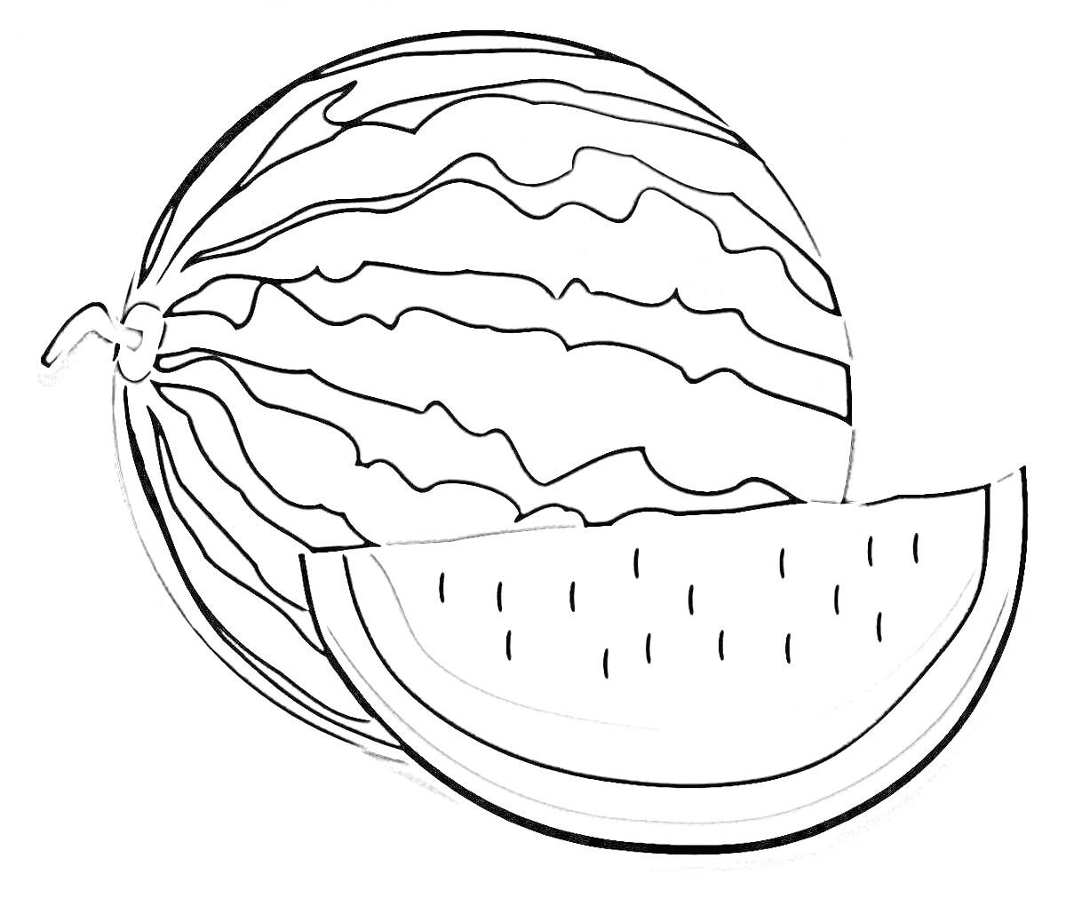 Раскраска Целый арбуз и арбузный ломтик