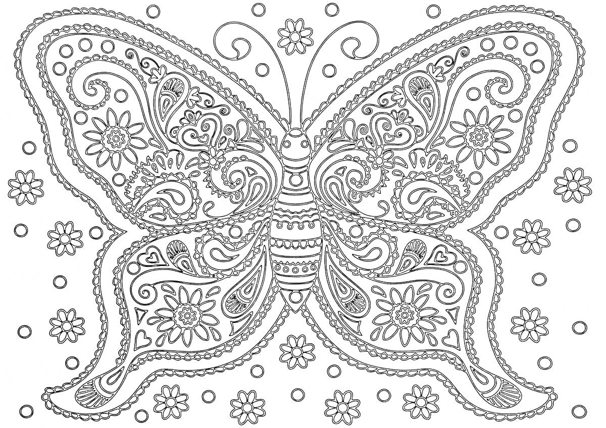 На раскраске изображено: Бабочка, Цветы, Круги, Орнамент, Узоры