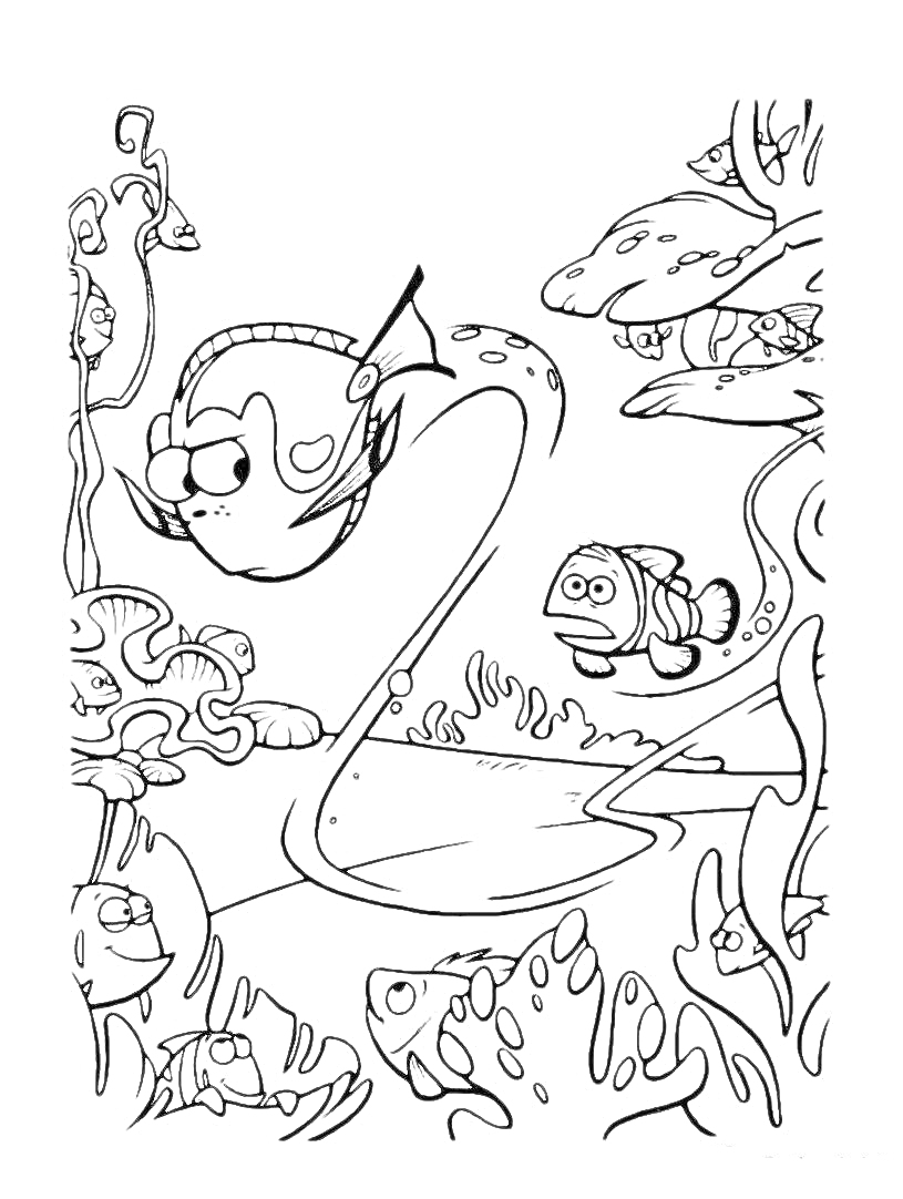 На раскраске изображено: Подводный мир, Водоросли, Кораллы, В поисках Немо, Морская жизнь, Рыба, Океаны